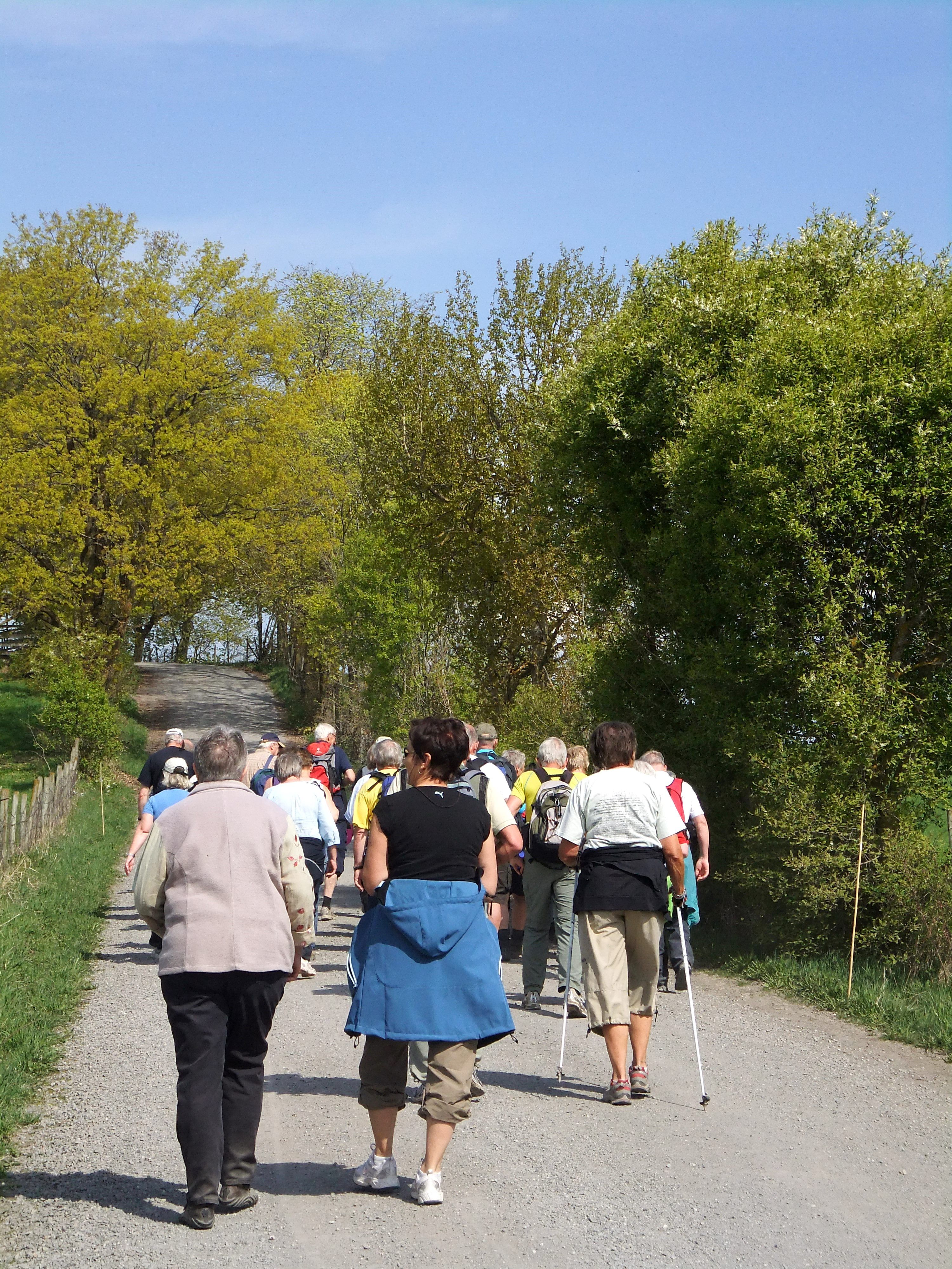 Pilegrimsleden - Tursti 1