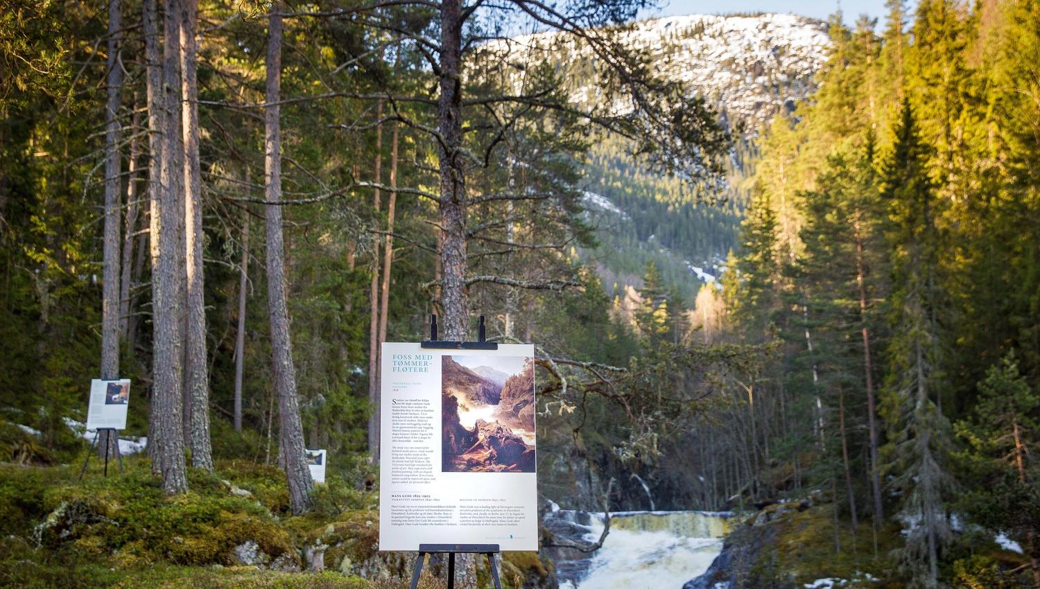 Kunstlandskap Nesbyen