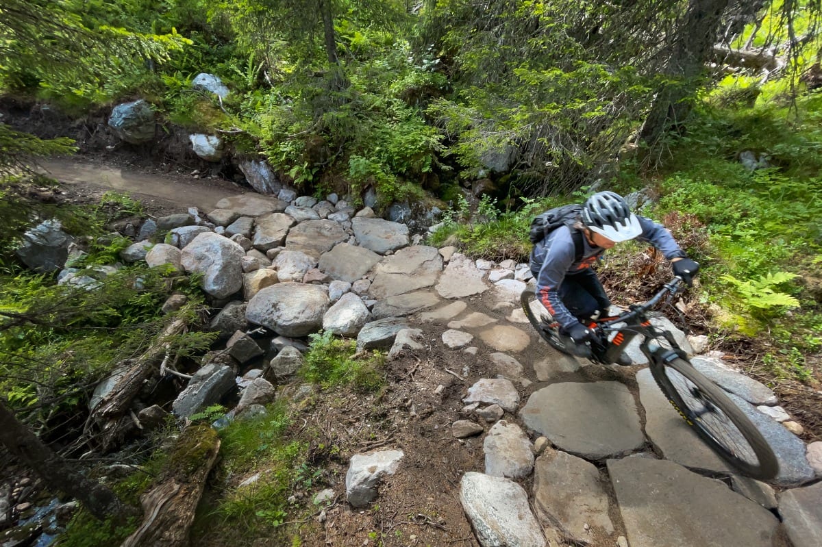 Forkbeard 2 (Trailguide)