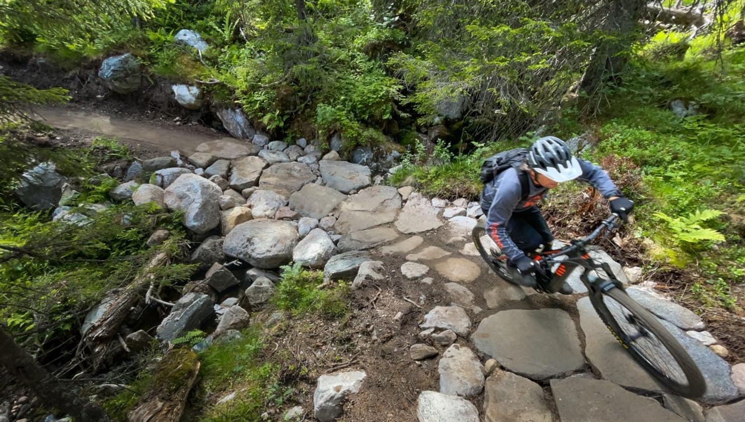 Forkbeard 2 (Trailguide)