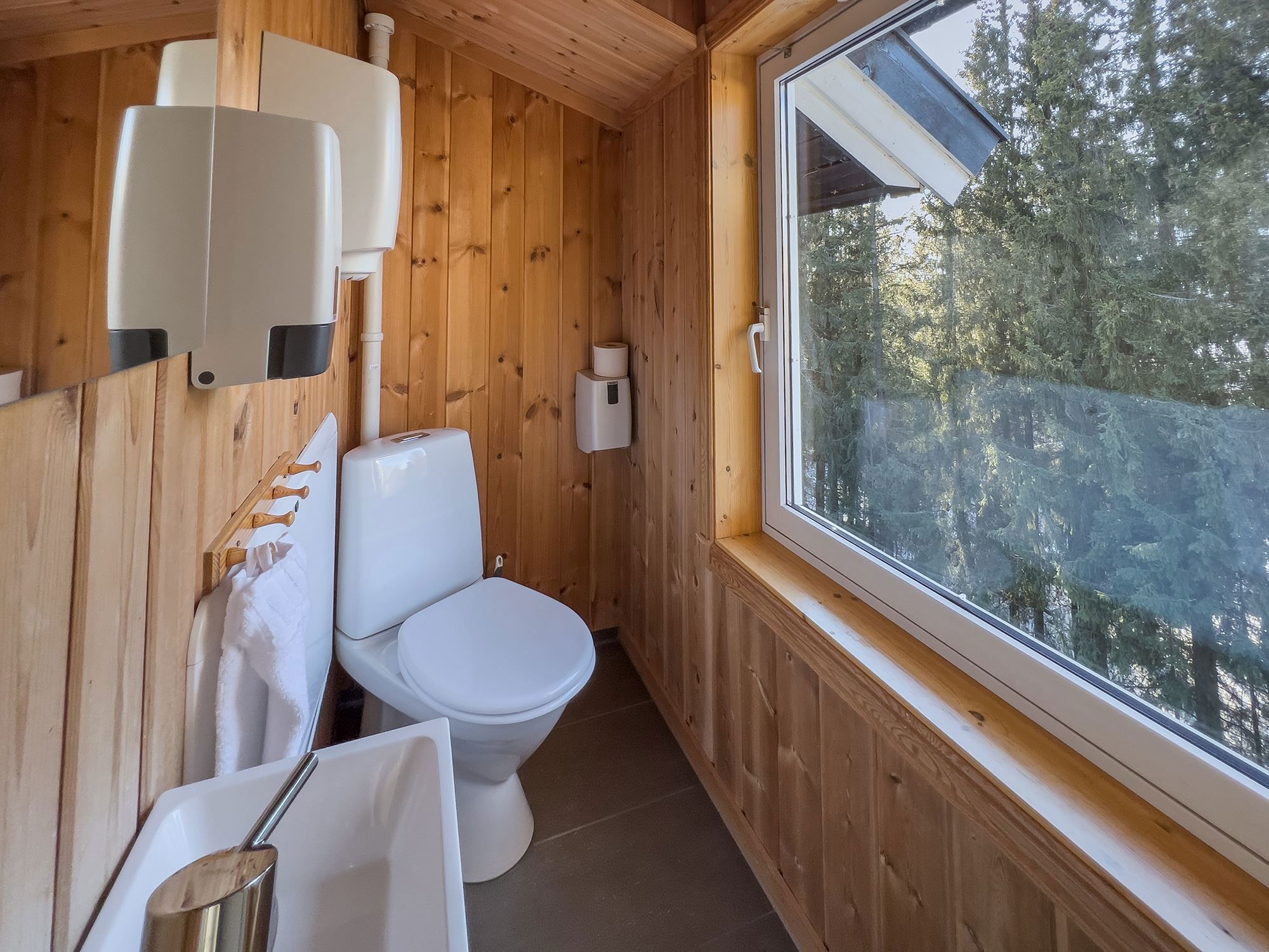 A bathroom with window and toilet.