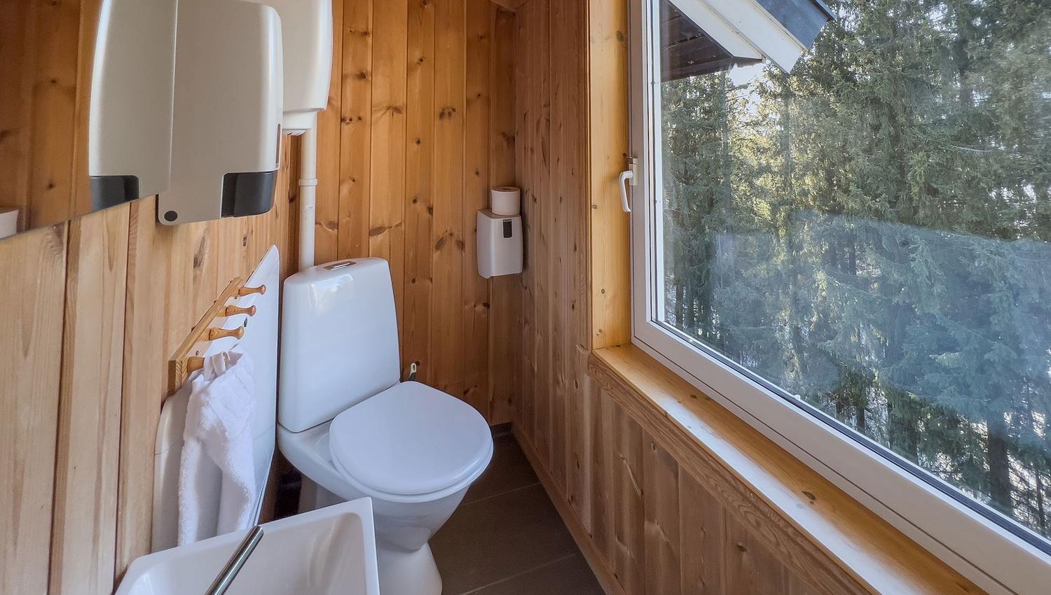 A bathroom with window and toilet.