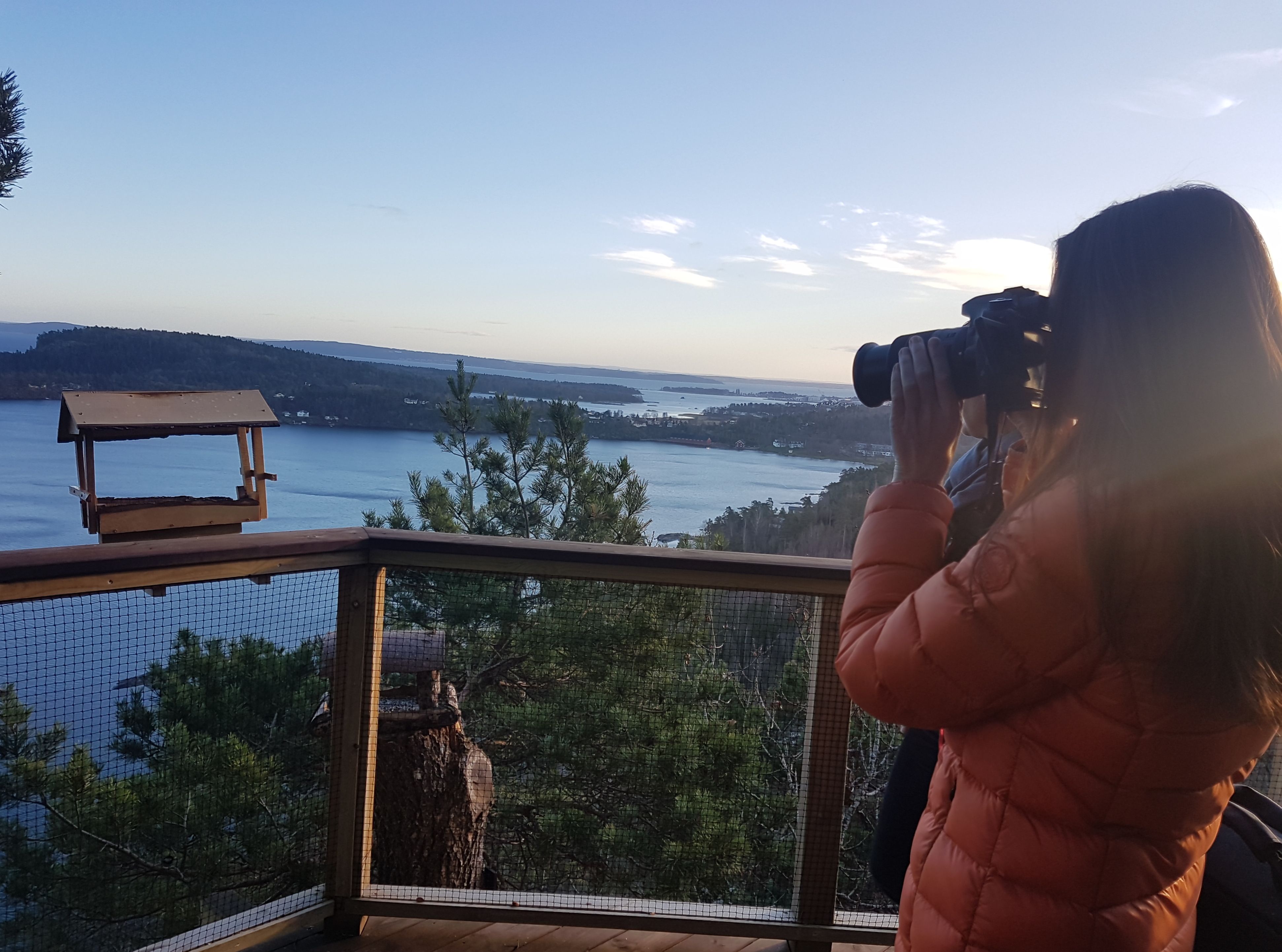 Oversikt over naturomgivelsene