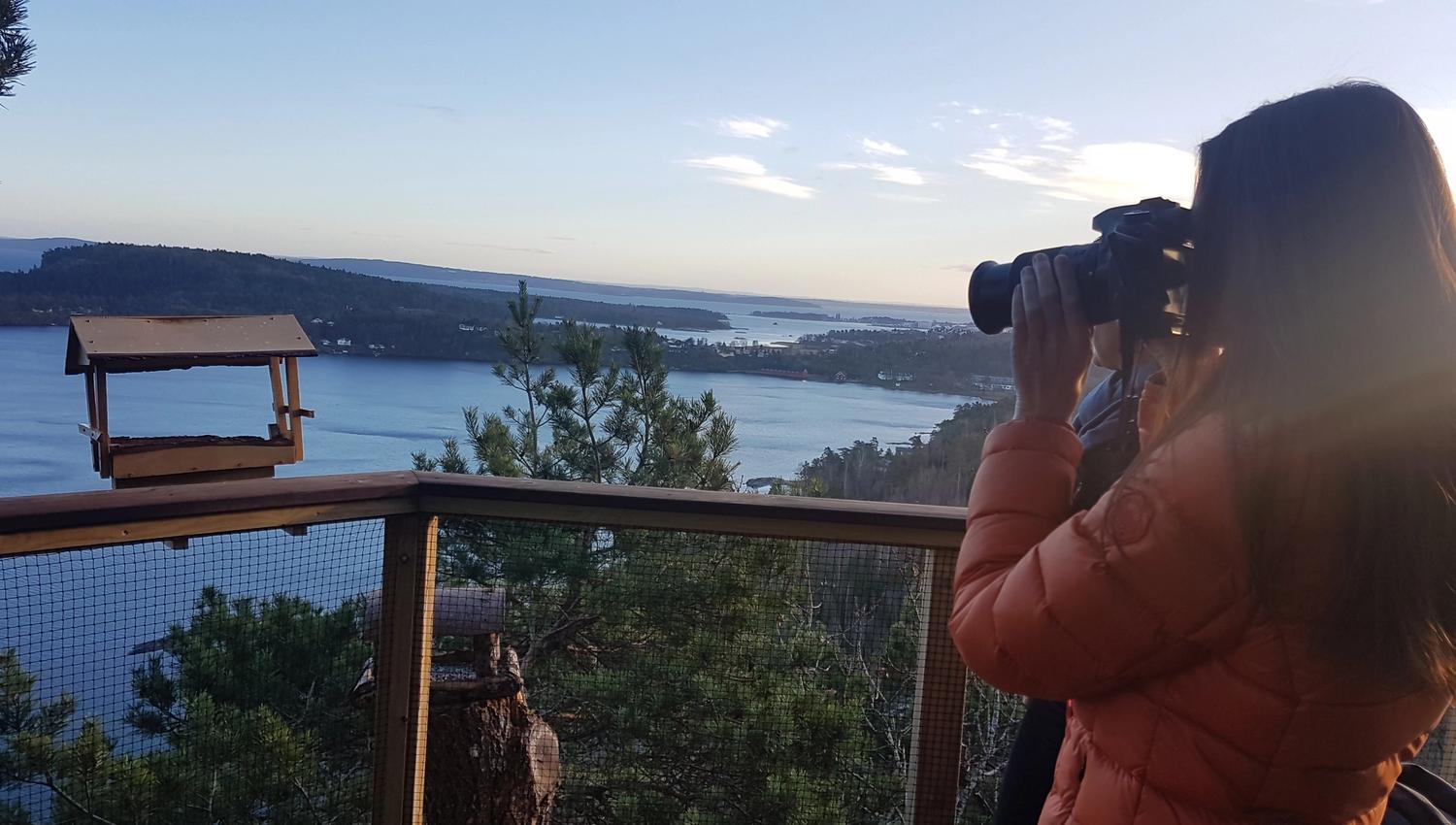 Oversikt over naturomgivelsene