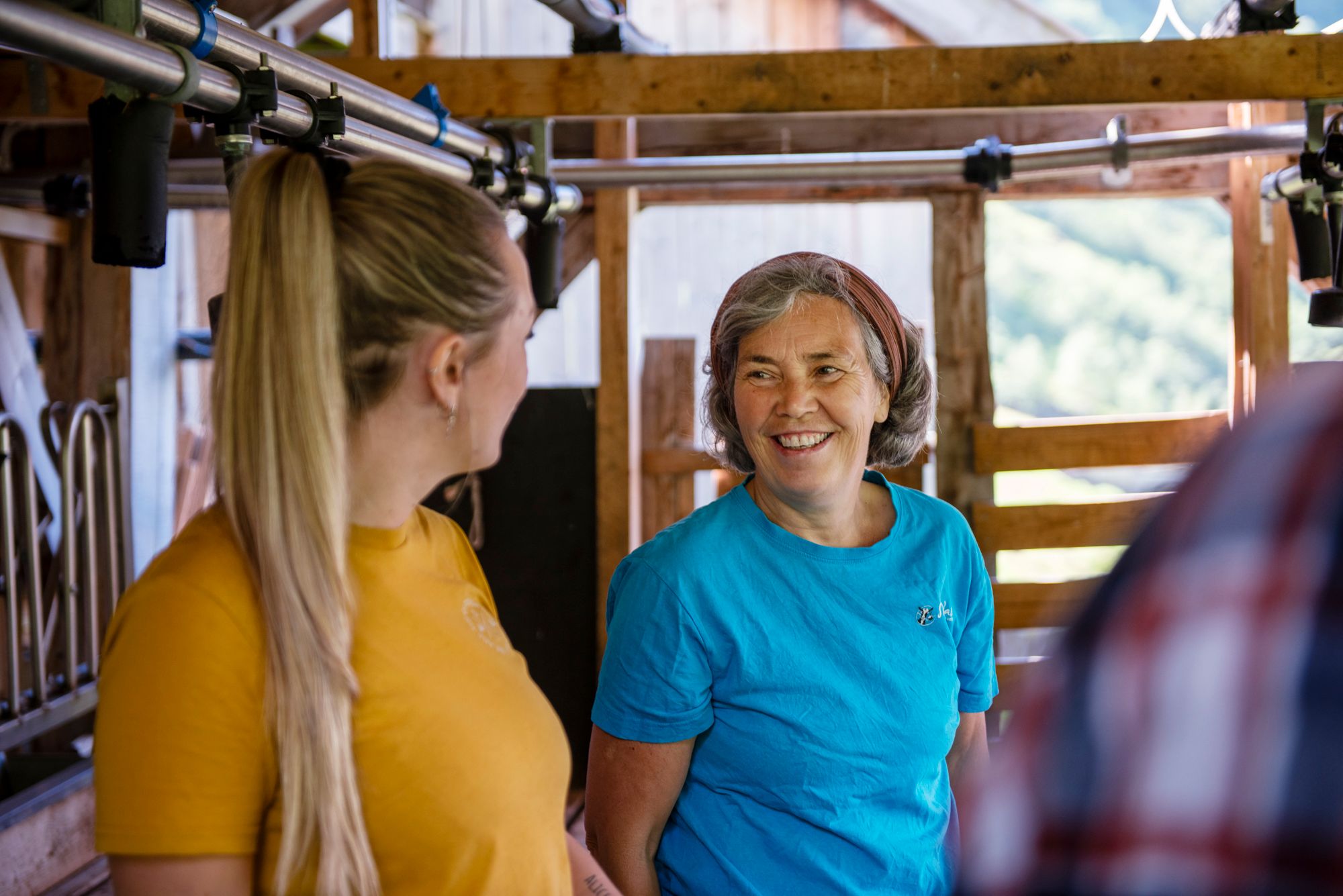 FjordSafari & Vandretur