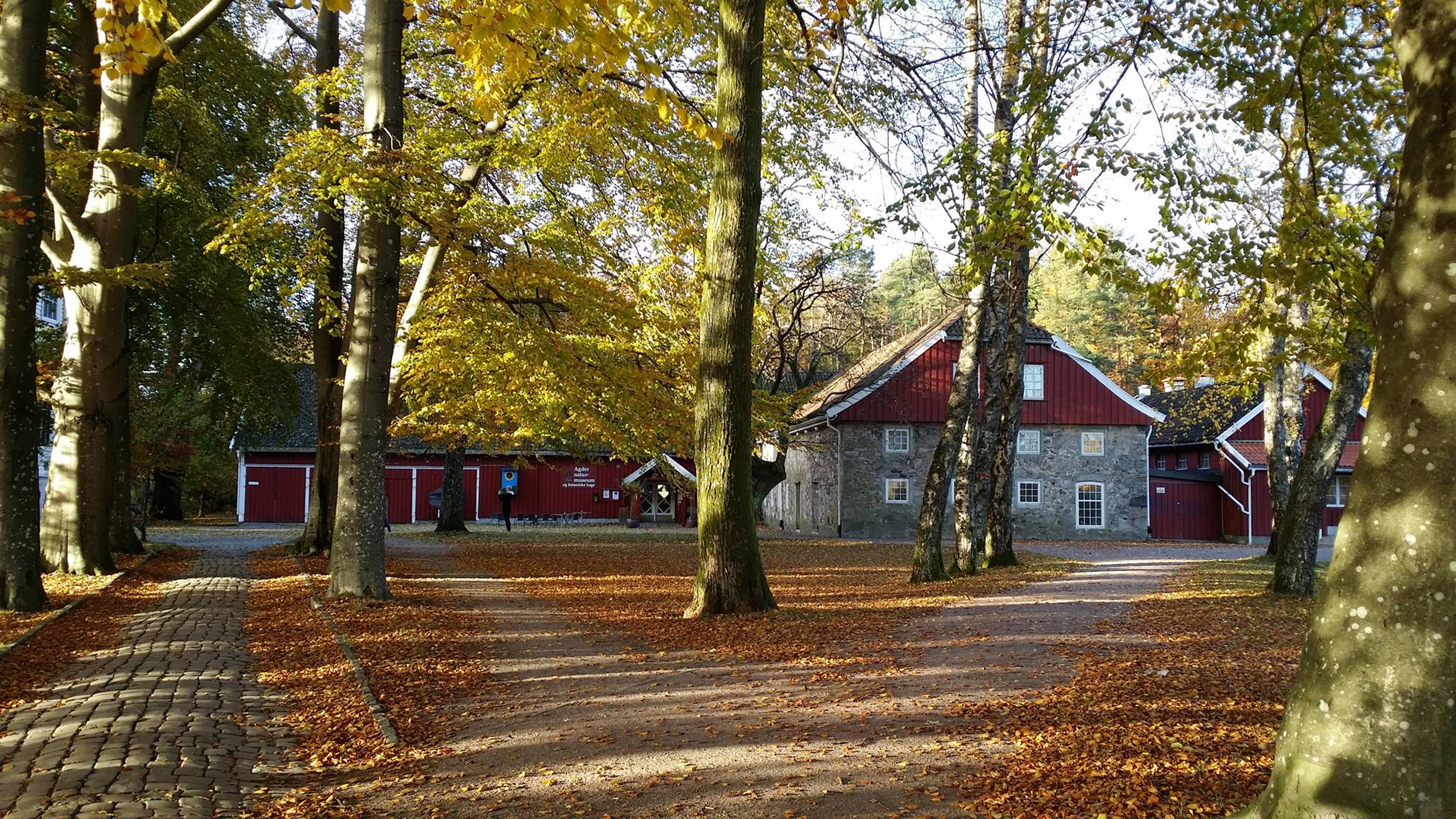 Naturmuseum og botanisk hage, Universitetet i Agder