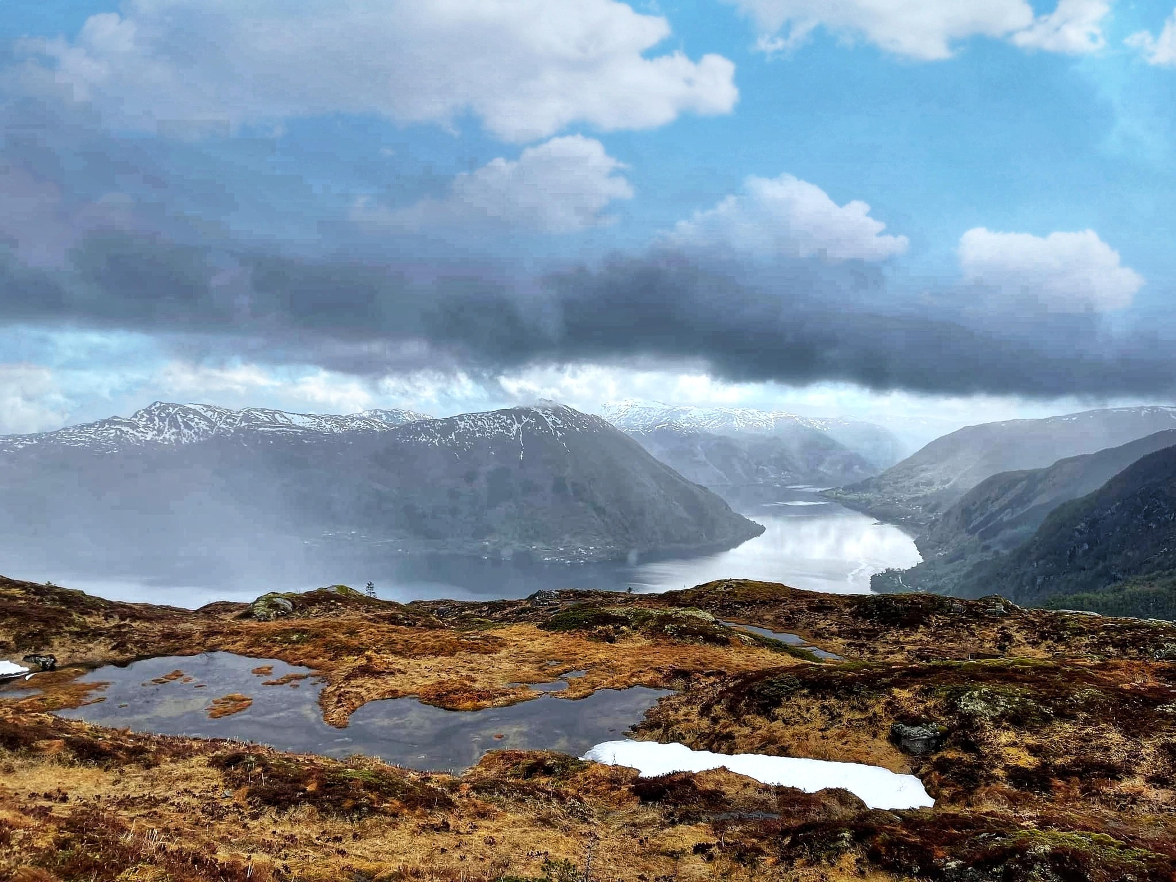 PICNIC_20220515_202438092-01