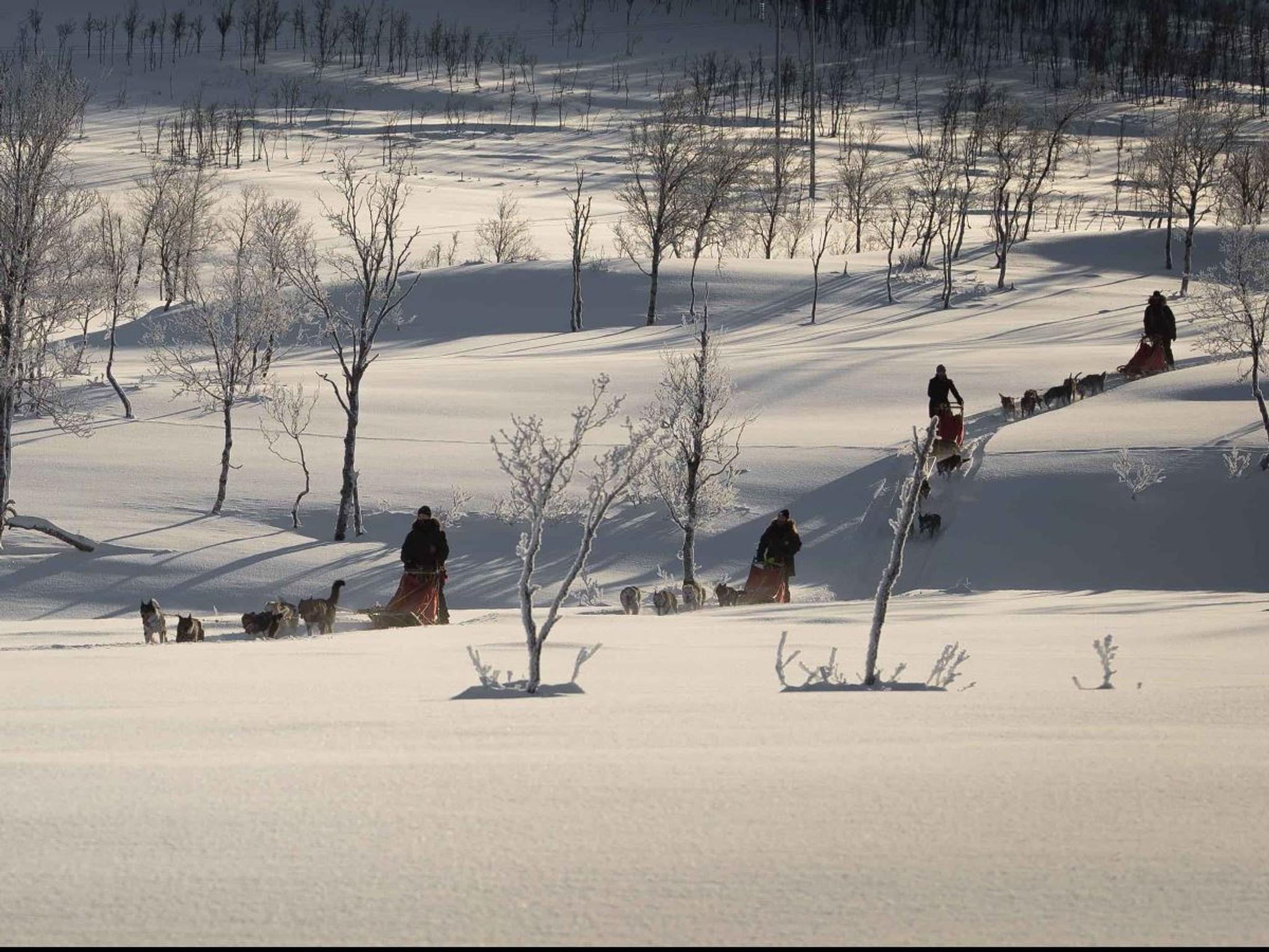 Sledding in the winter