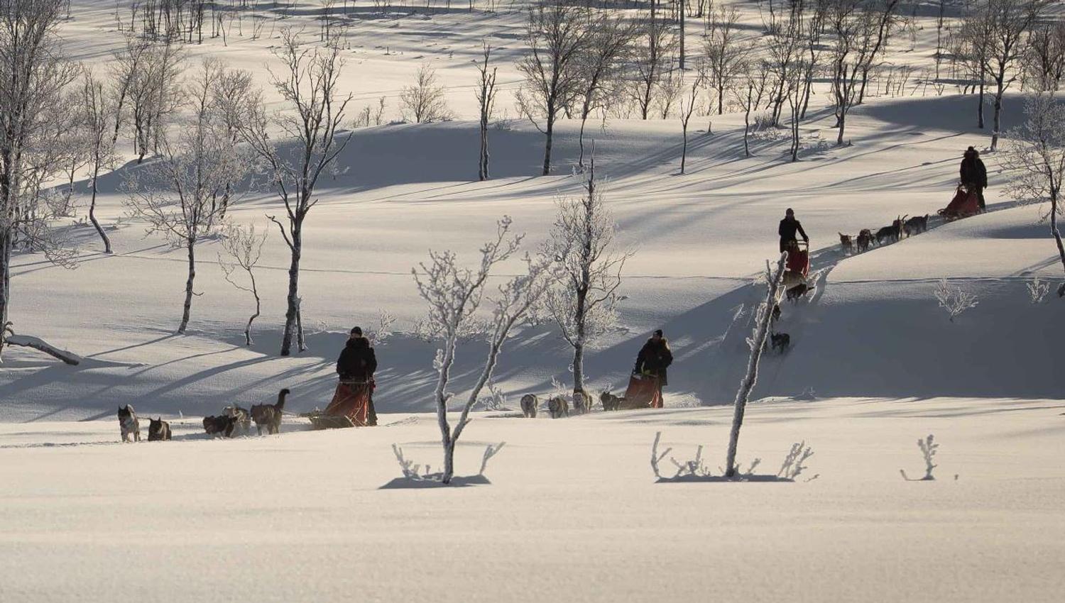 Sledding in the winter