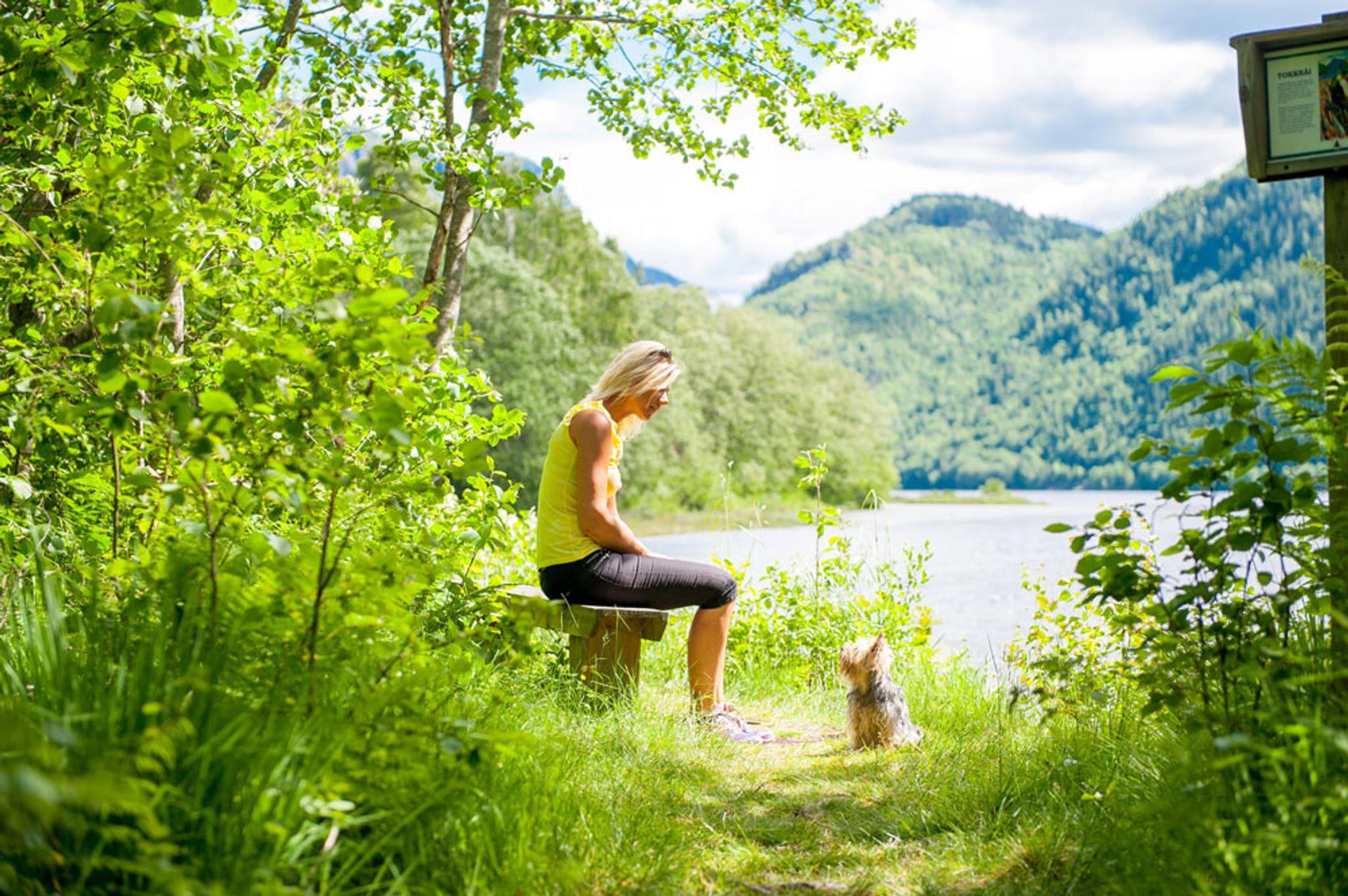 Dame som sitter på en benk med en liten hund foran seg