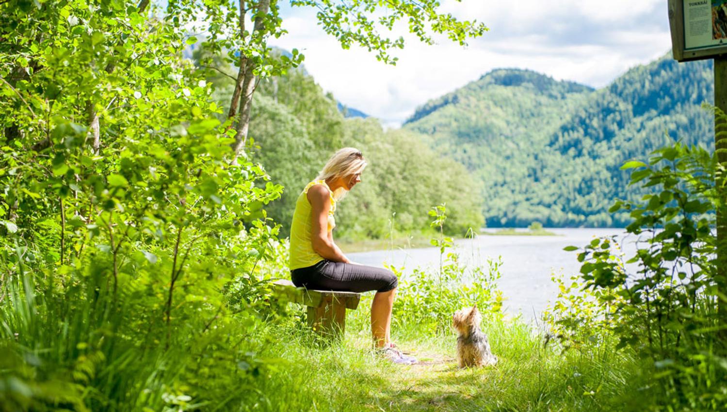 Dame som sitter på en benk med en liten hund foran seg