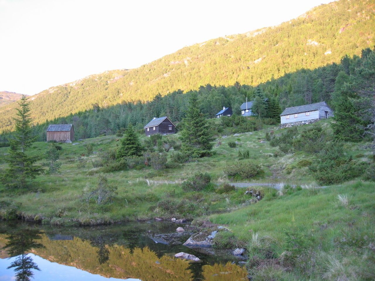 Vassenden, Sveinung Selsvik