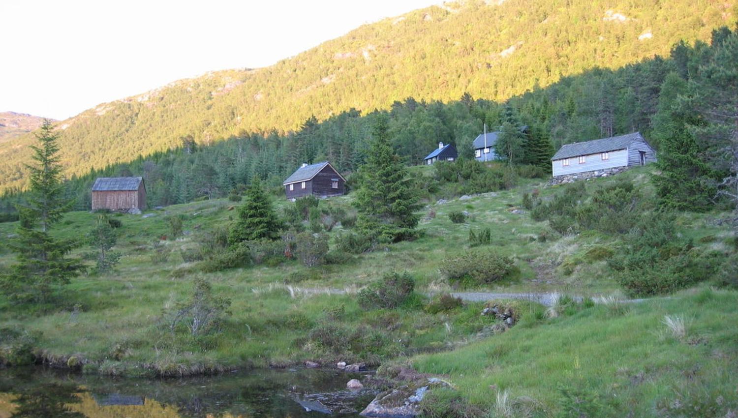 Vassenden, Sveinung Selsvik