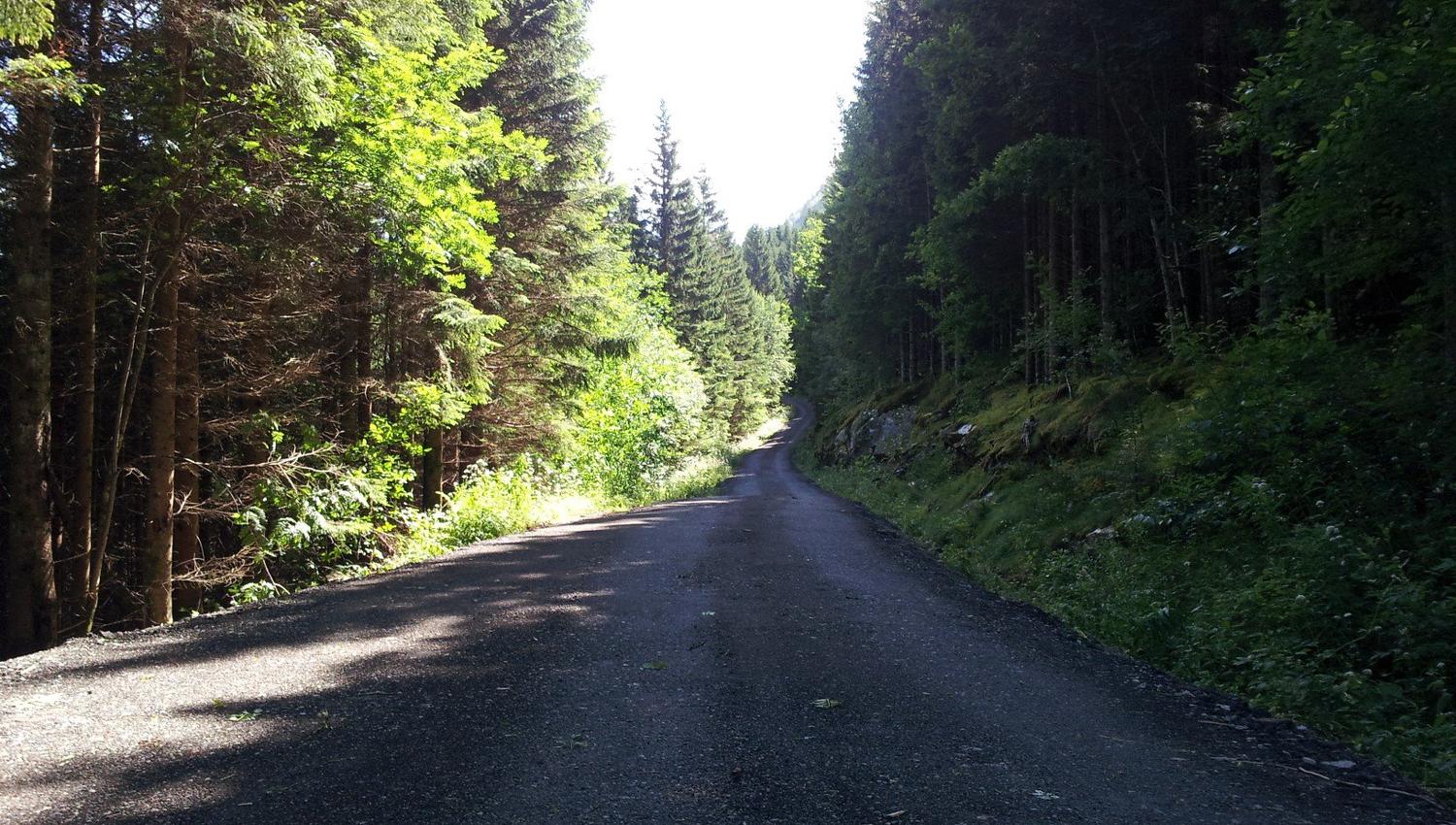 Utne