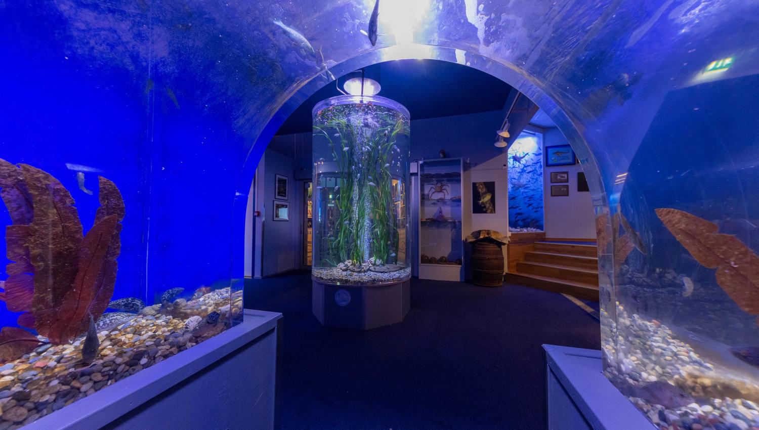 Drøbak Akvarium