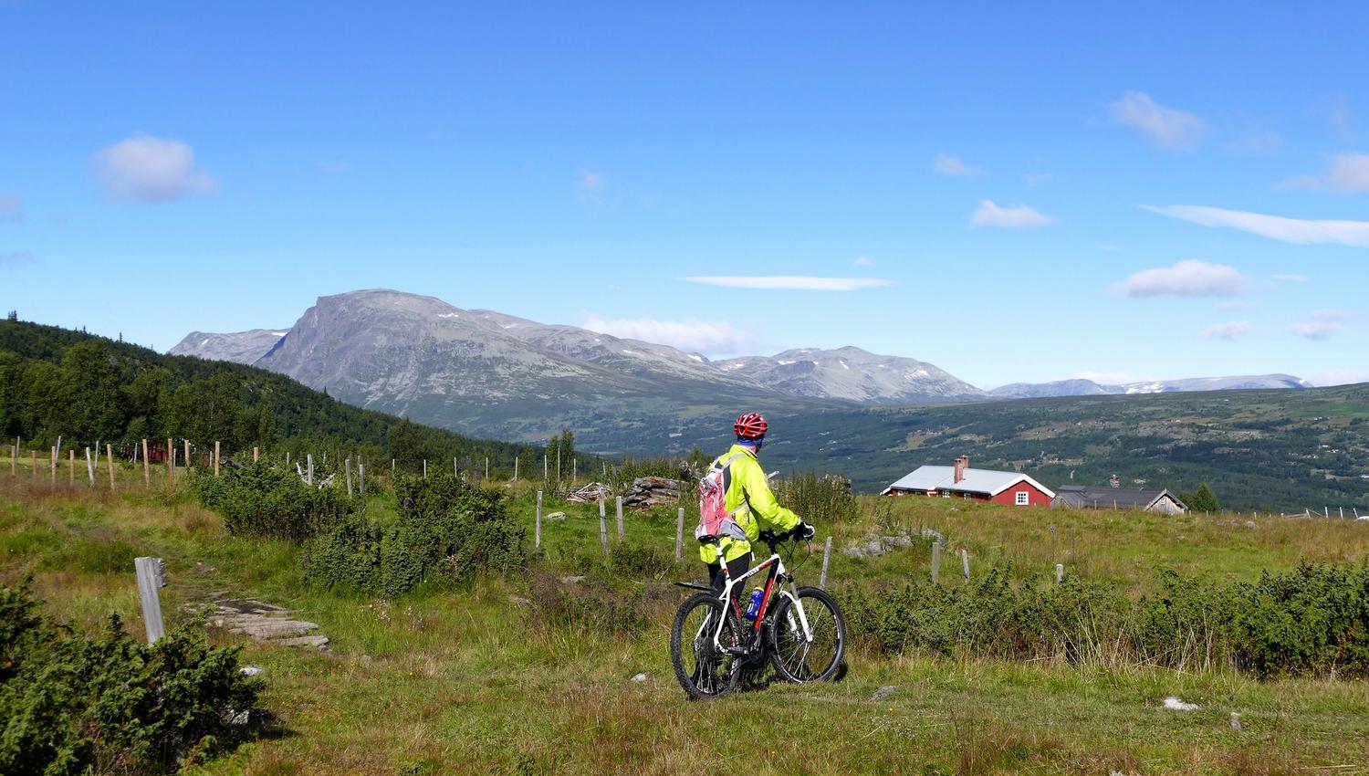 Sykkel på Golsfjellet