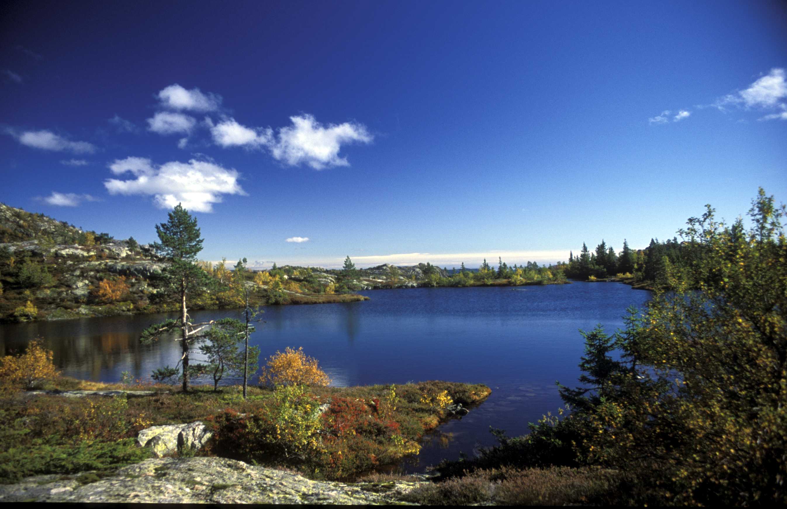 Veneli turområde, Venelitjørn