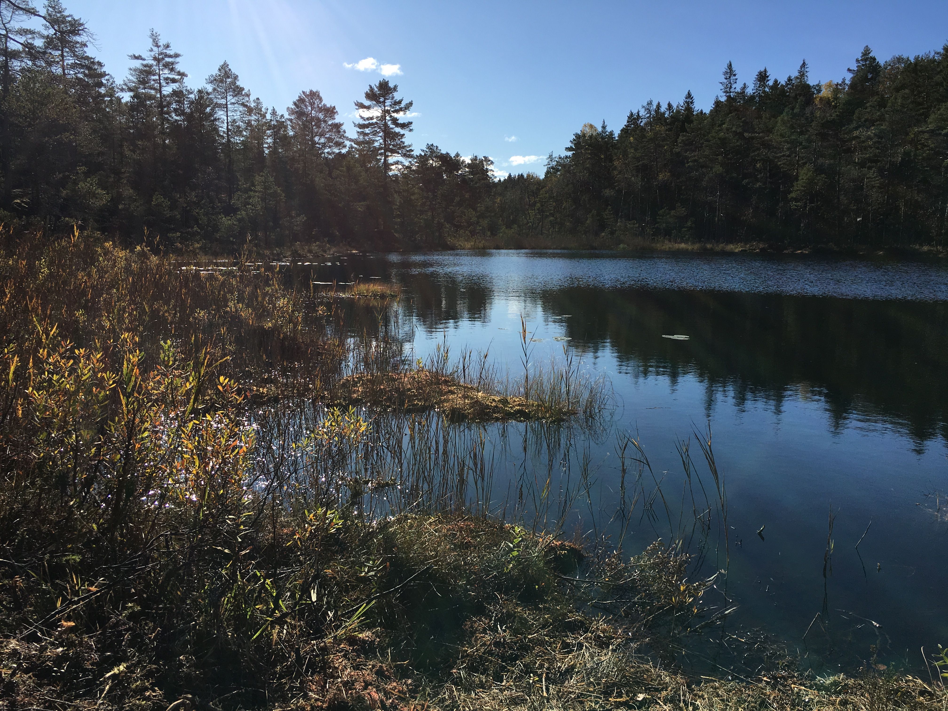 Vakkert bilde av ett stille vann