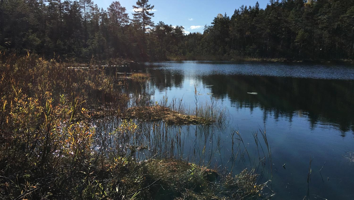 Vakkert bilde av ett stille vann