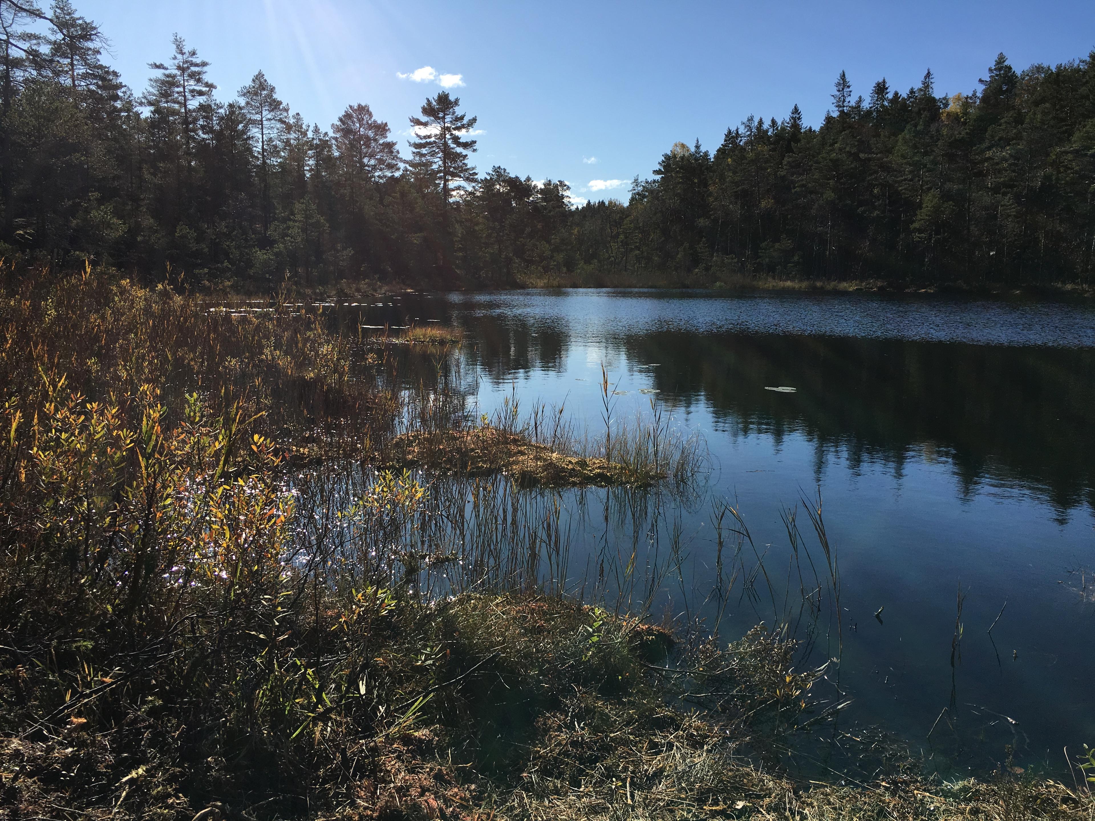 Turperler Rakkestadfjella