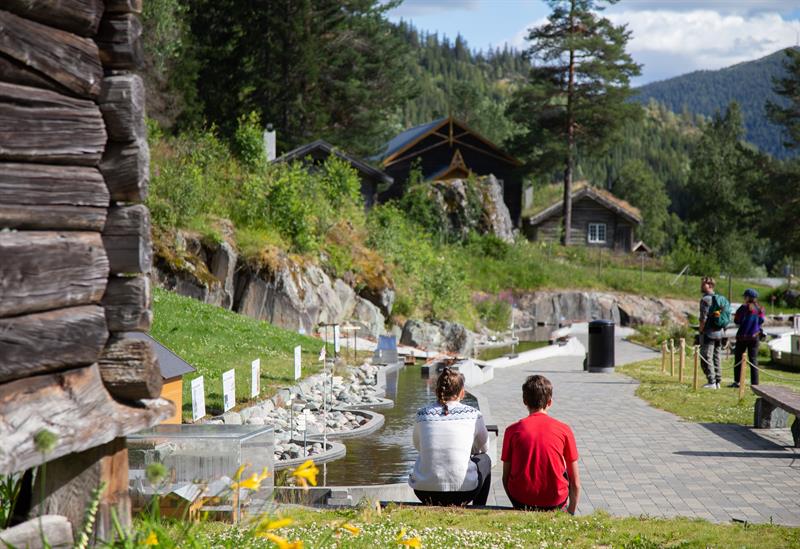 Sommardag i Kanalparken ved Vest-Telemark museum Eidsborg.