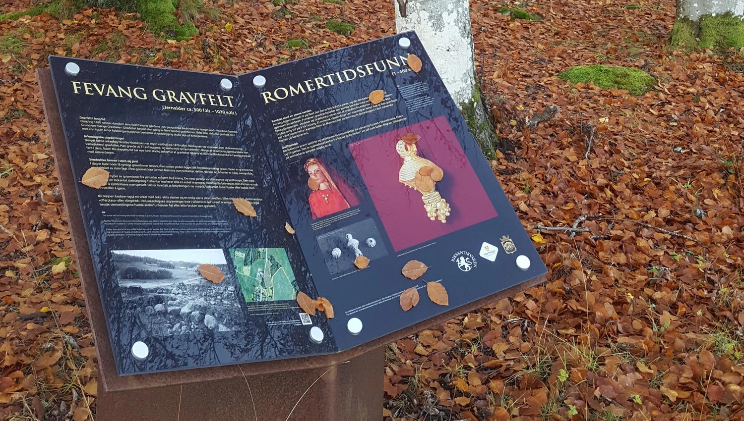Gravhaugene på Fevang