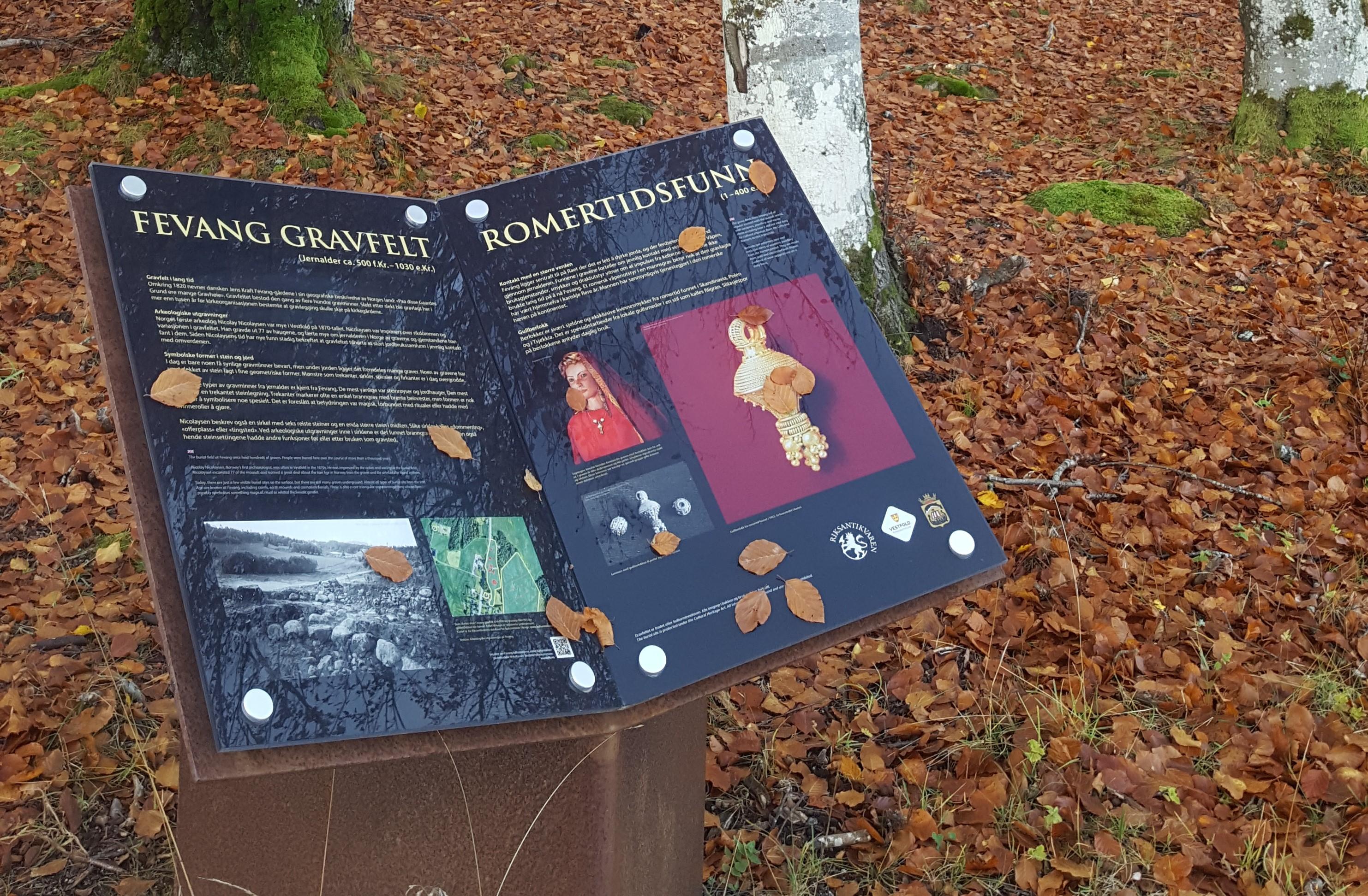 Gravhaugene på Fevang