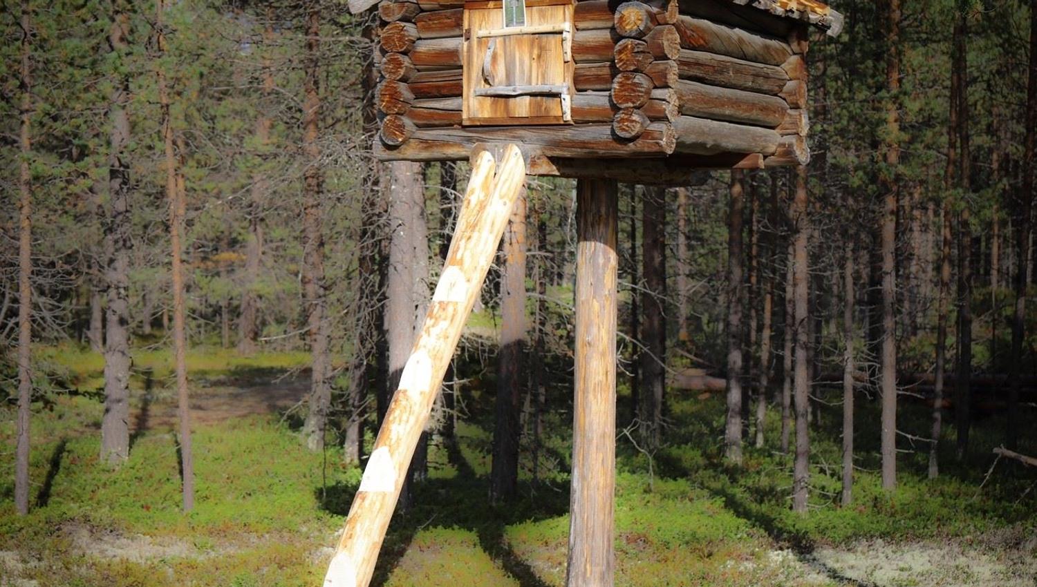 Njalla (enstolpebod) i friluftsmuseet. Enstolpeboder er små forrådshus plassert øverst på en 2-3 meter lang trepåle, slik at dyr ikke skulle kunne bryte seg inn.