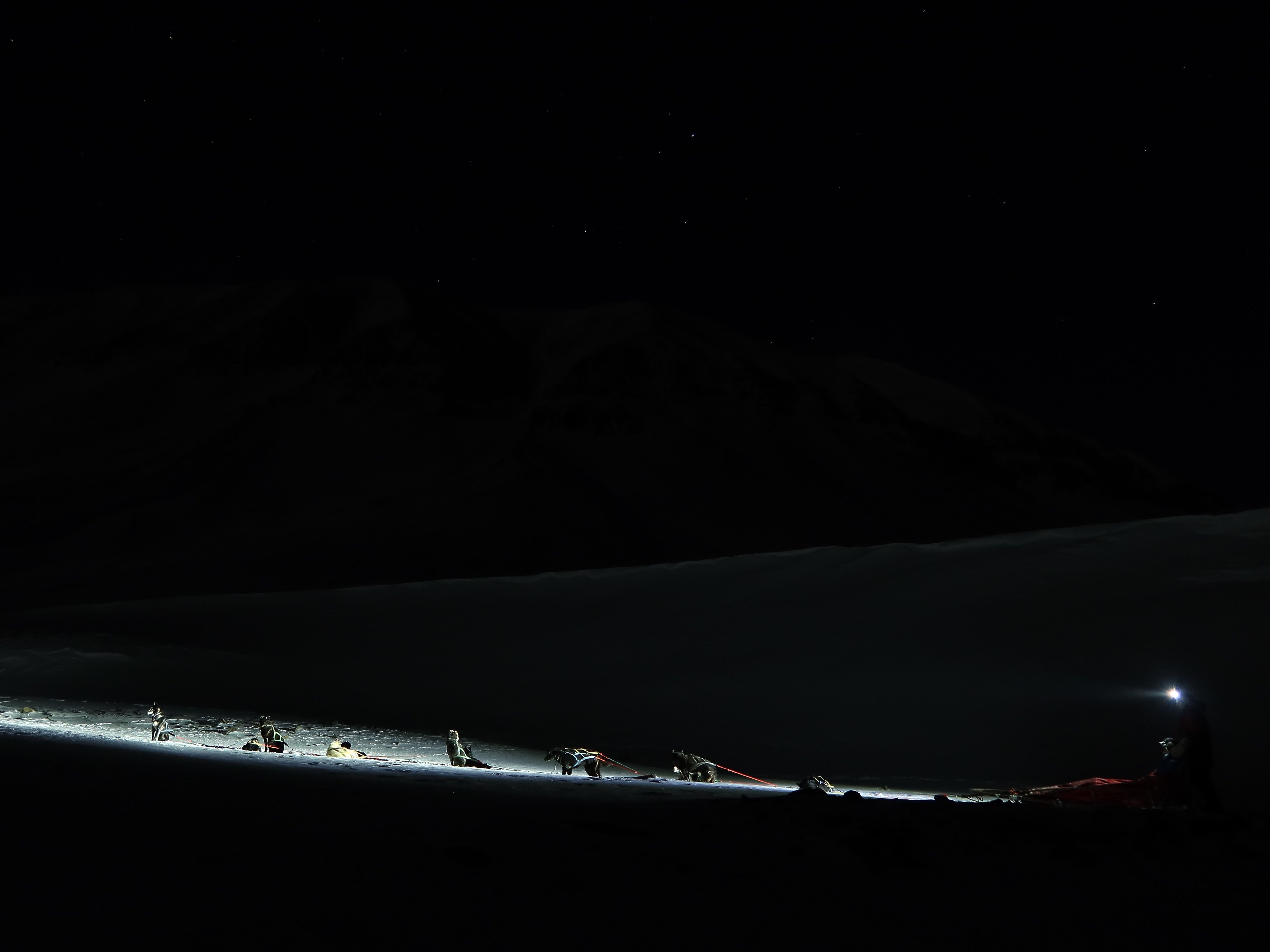 A sled dog team driving through the polar night