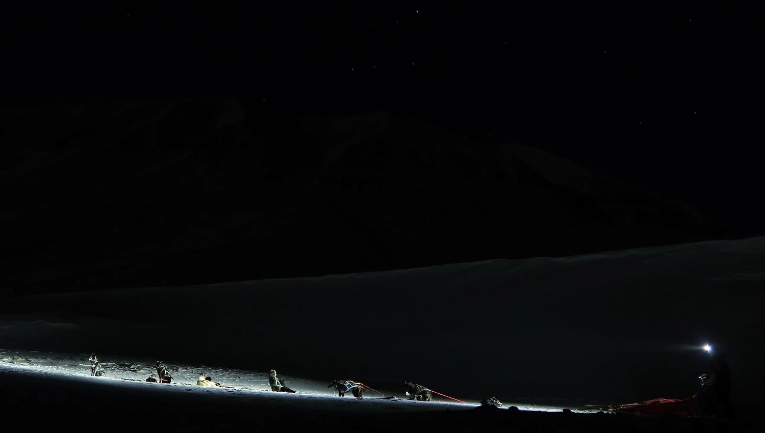 Et hundespann på tur i polarnatta