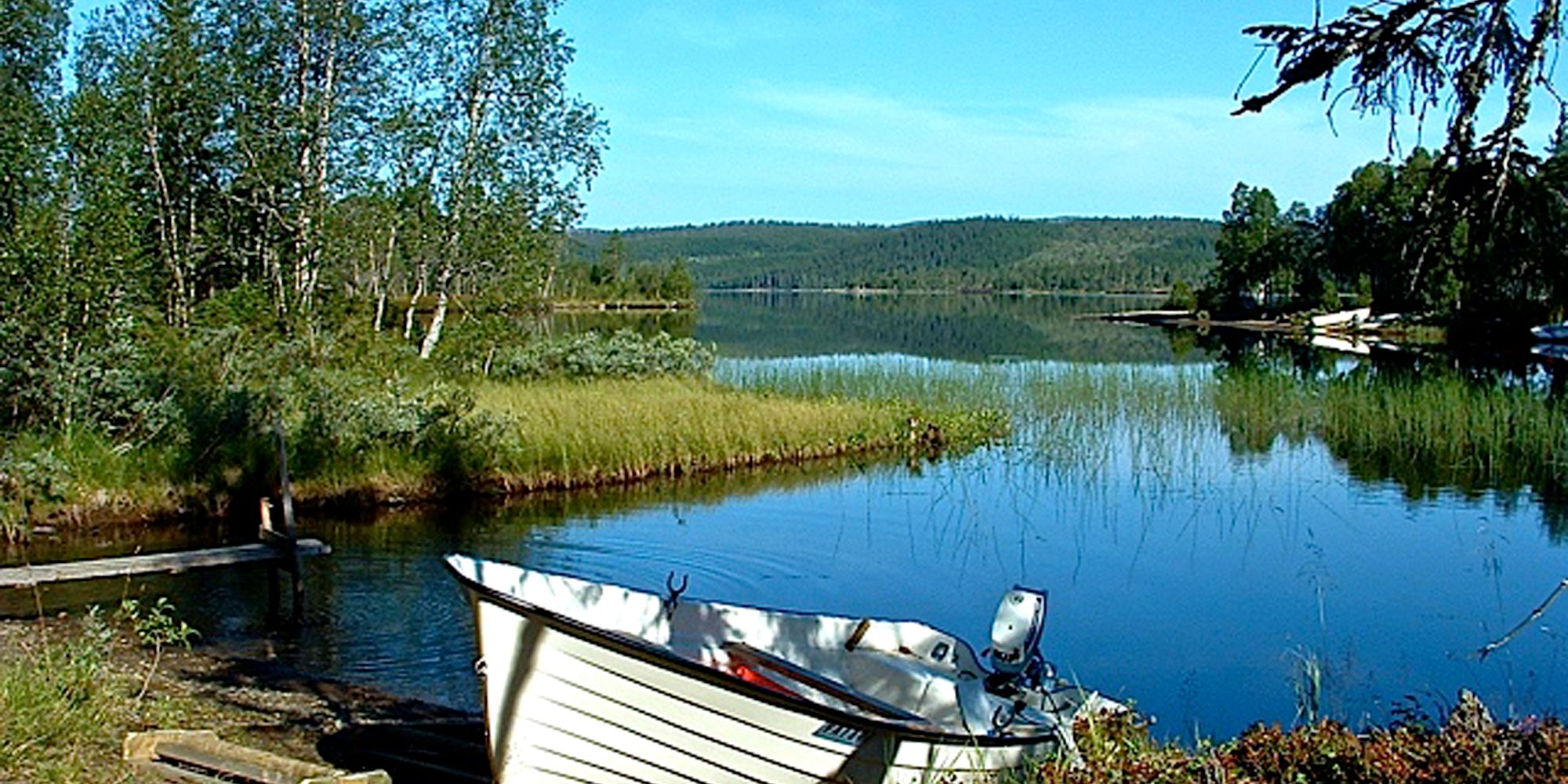 Steinkjer Kommuneskoger - a row boat docked at the border of a lake