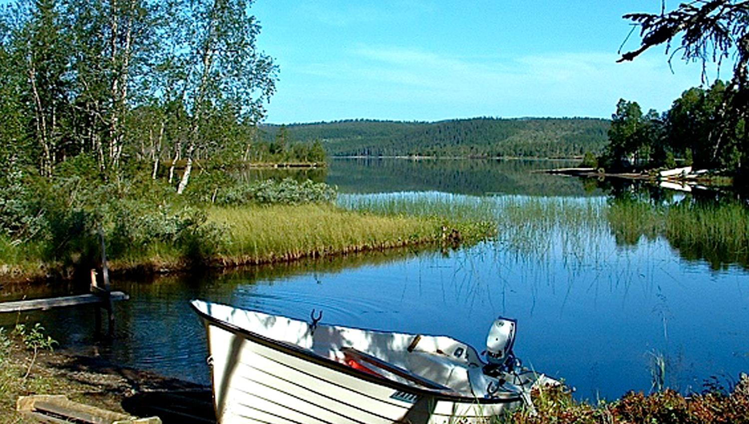 Steinkjer Kommuneskoger - a row boat docked at the border of a lake