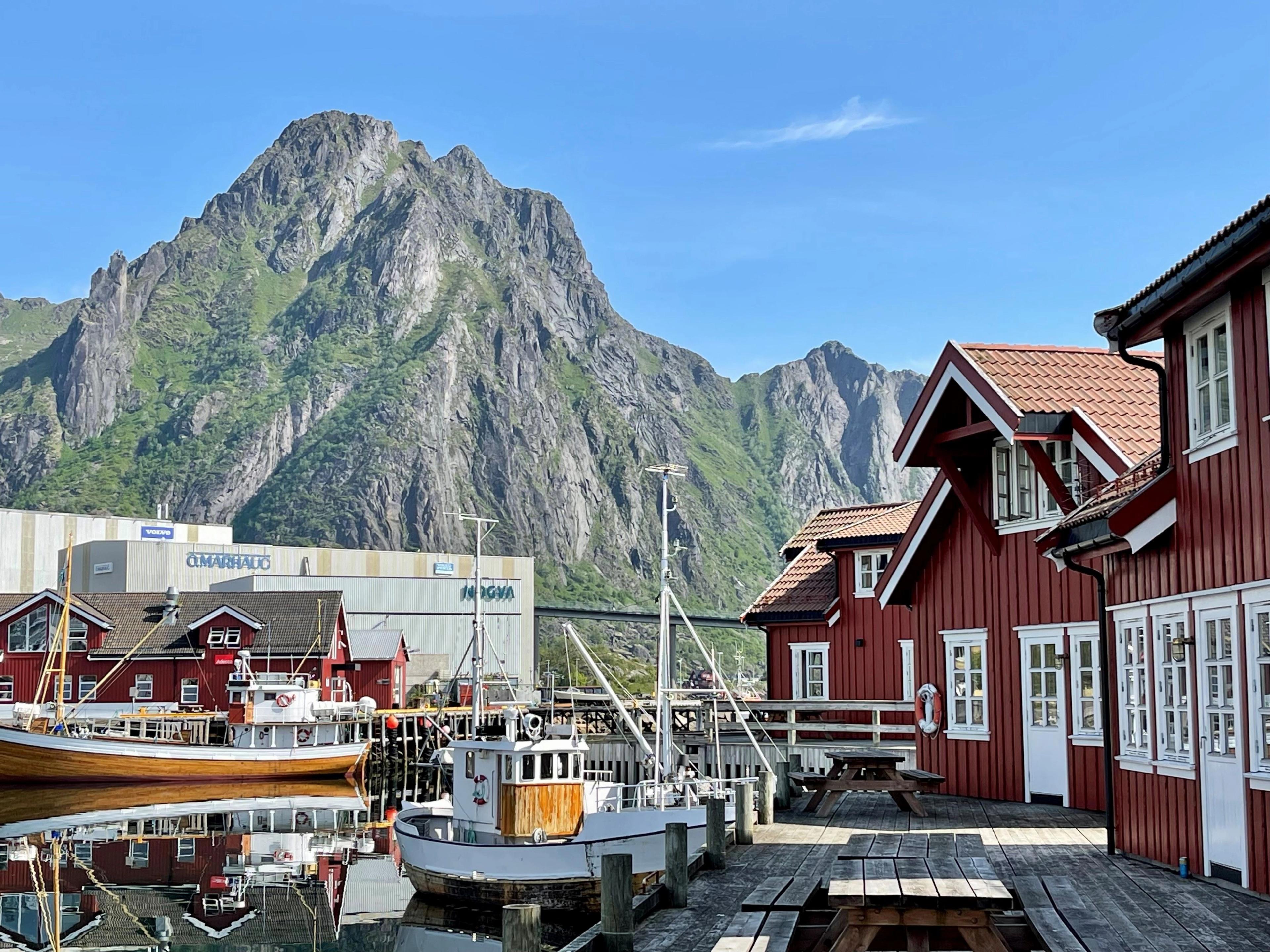 Anker Brygge Rorbusuiter