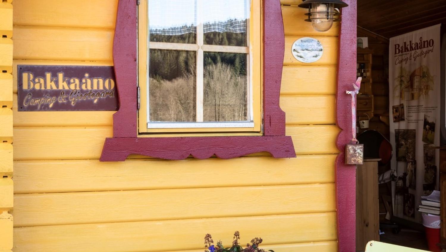 Bakkaåno Camping & Gjestegard