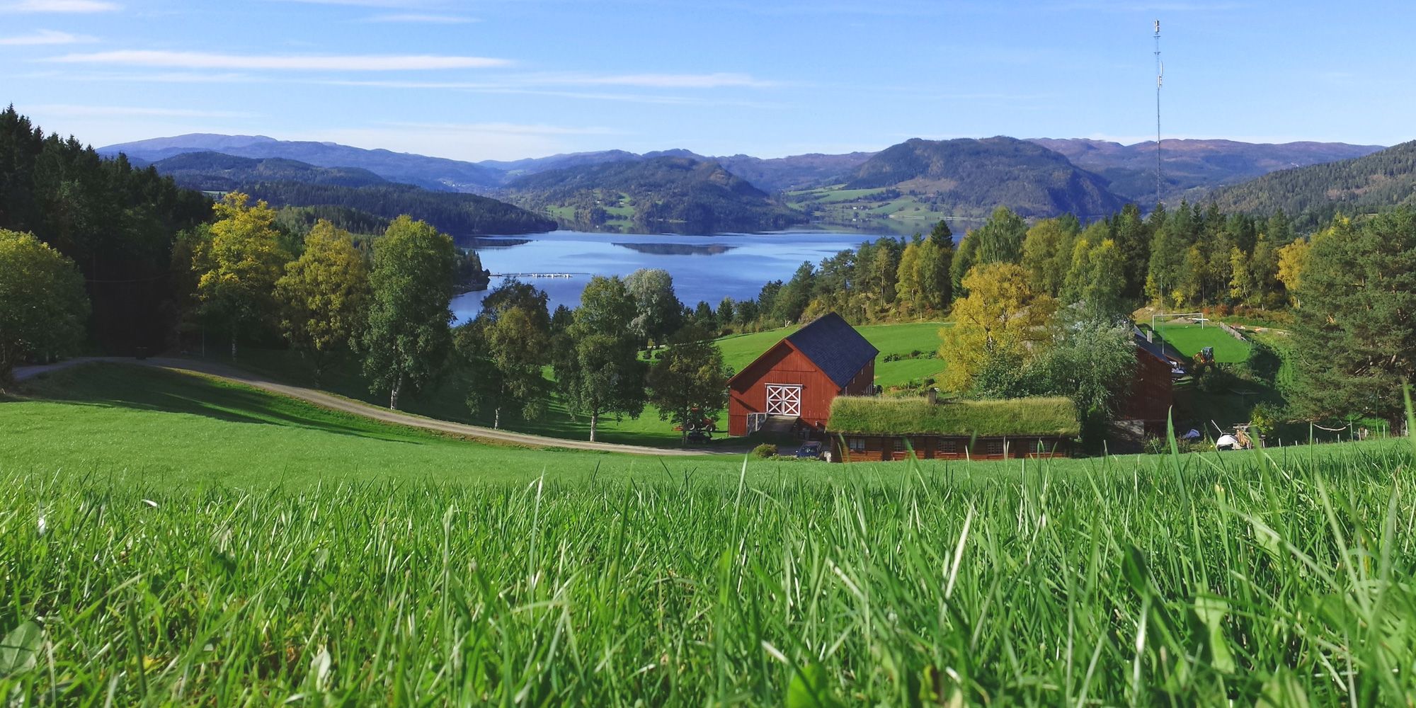 The view from the farm