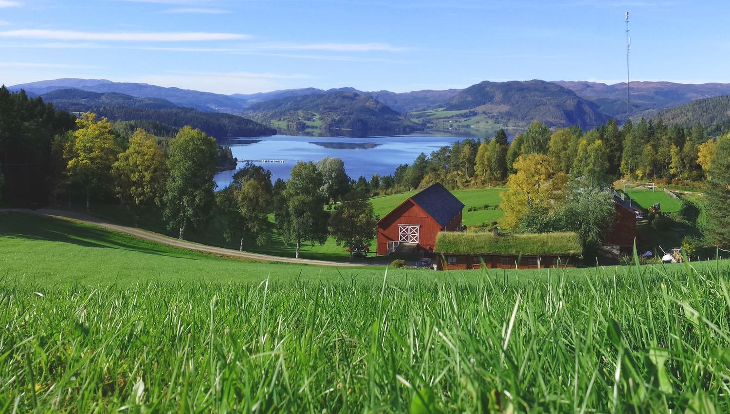 The view from the farm