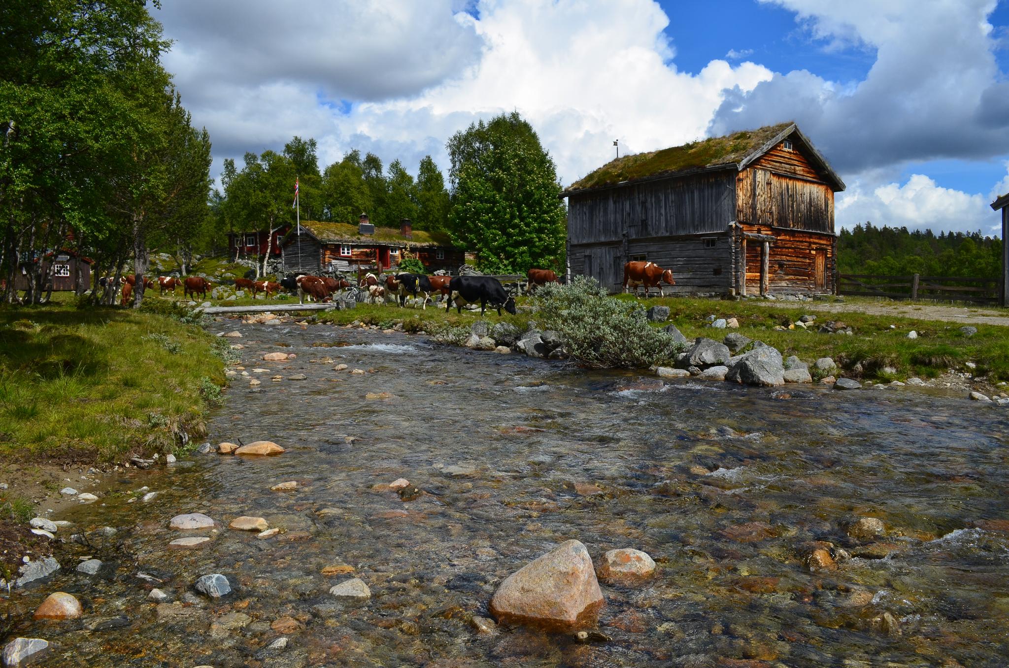 Ljøsnåvollen Seter - Hytter