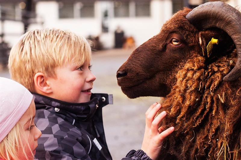 Barn med vær.