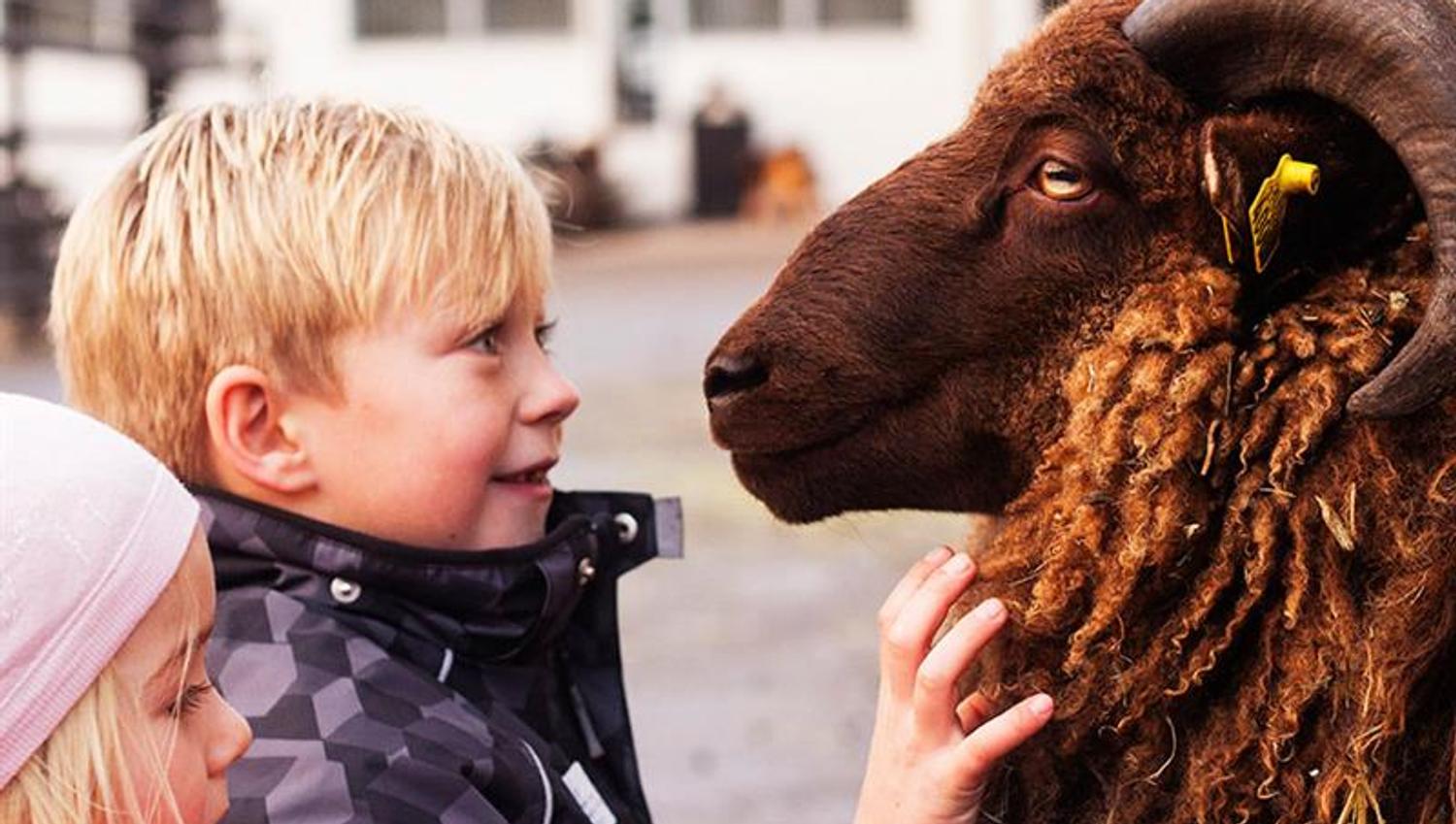 Barn med vær.