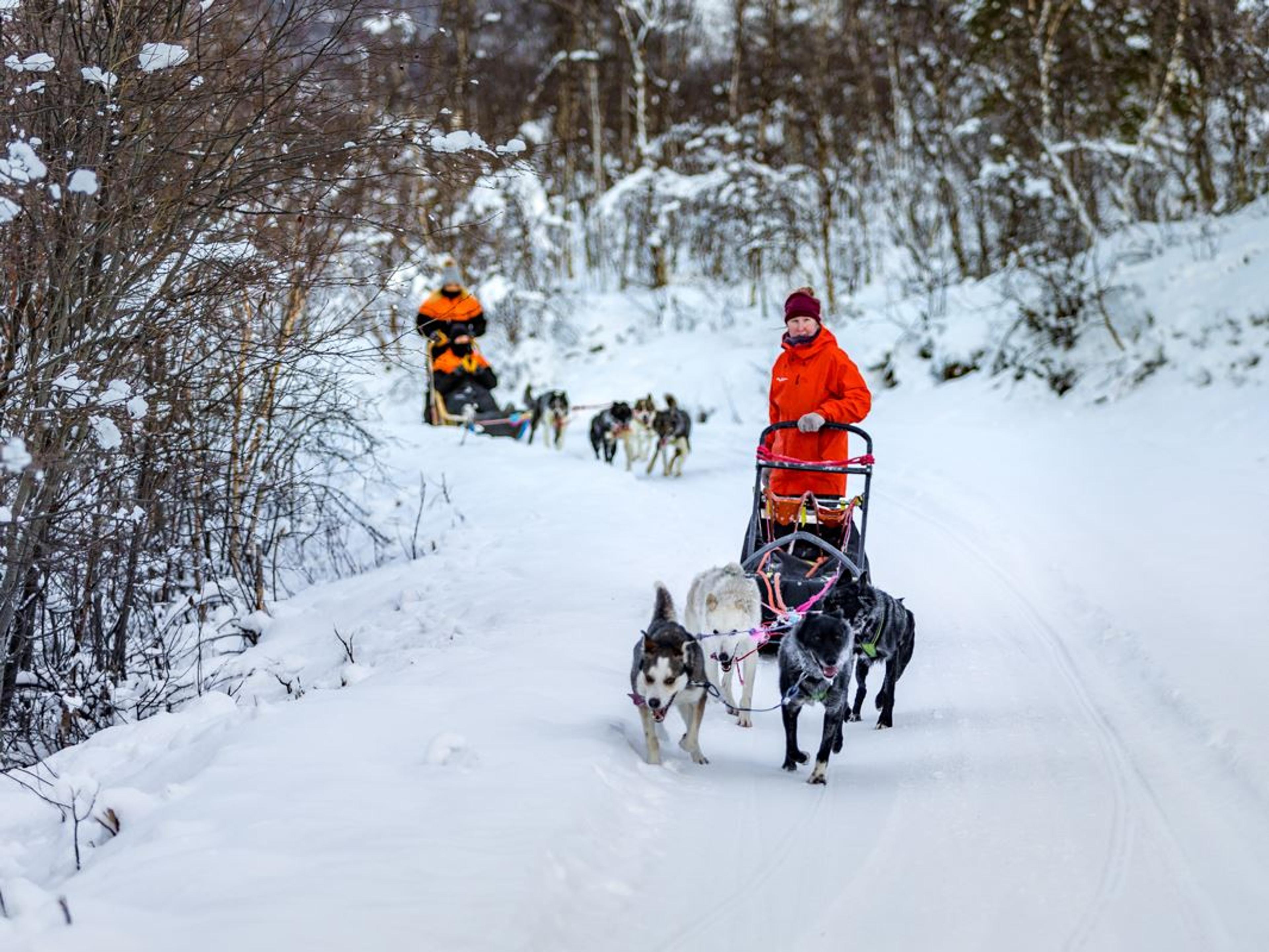 Guests sled through the wilderness