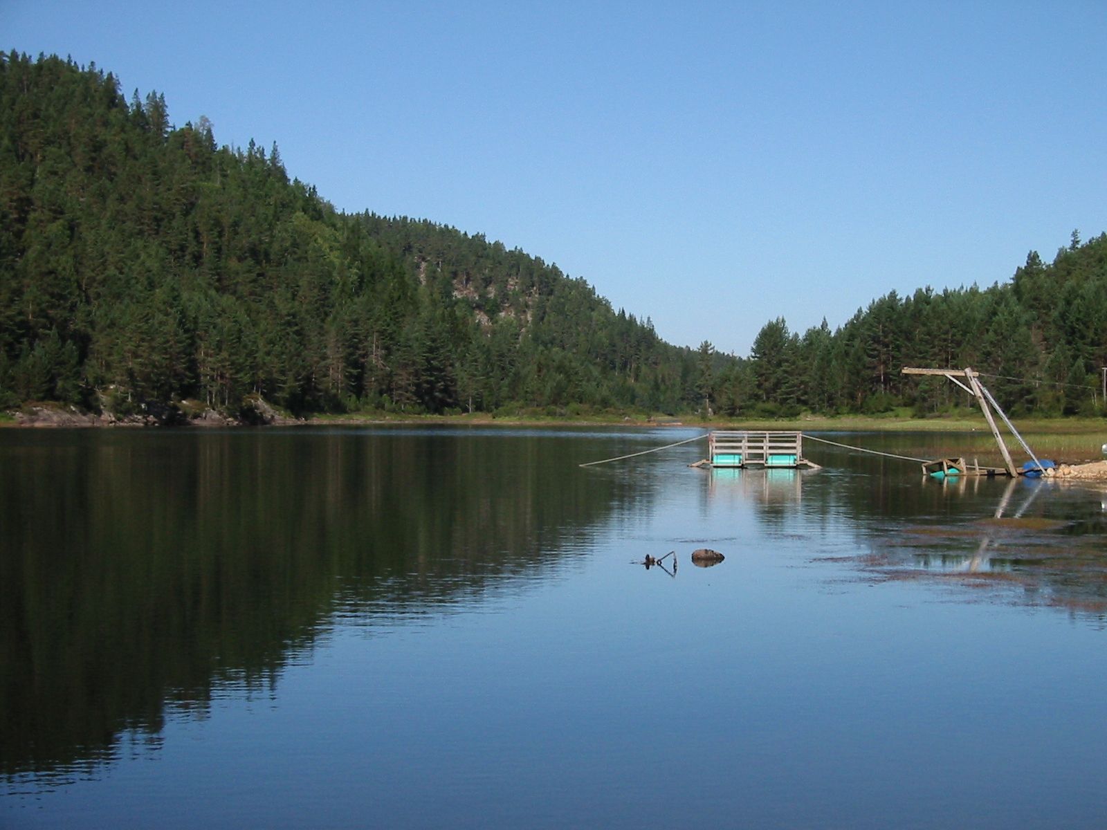 innsjø og elv ved Nelaug