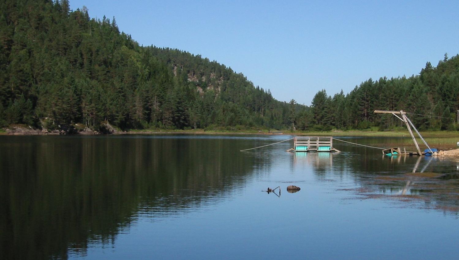 innsjø og elv ved Nelaug