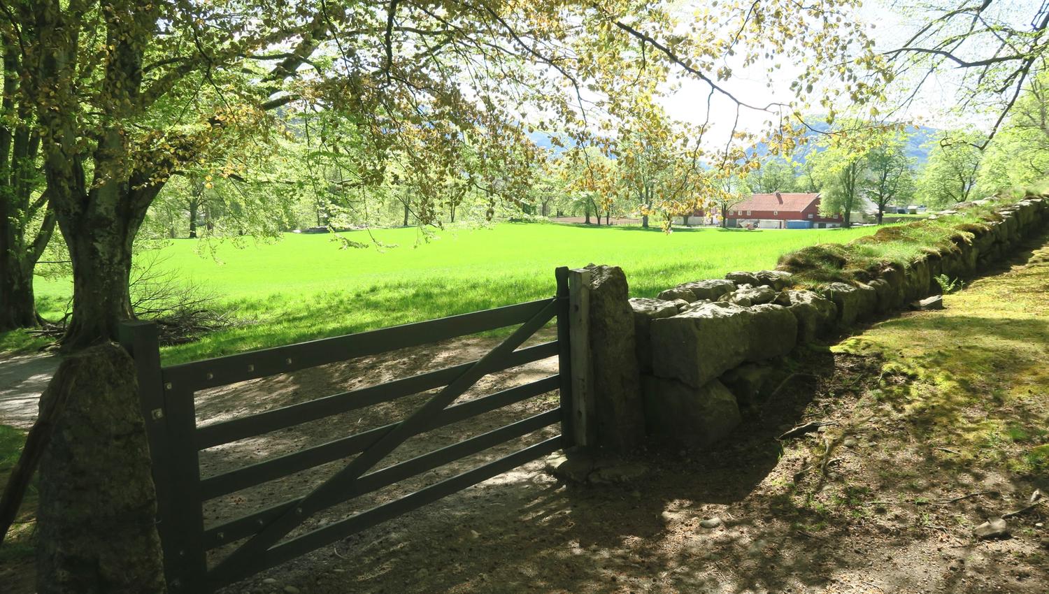 Ei landleg grind som fører inn til eit grønt landskap ved Baroniet i Rosendal.