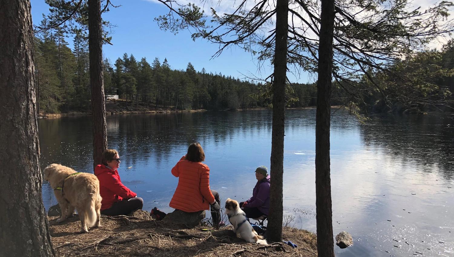 Folk som camper ved vannet