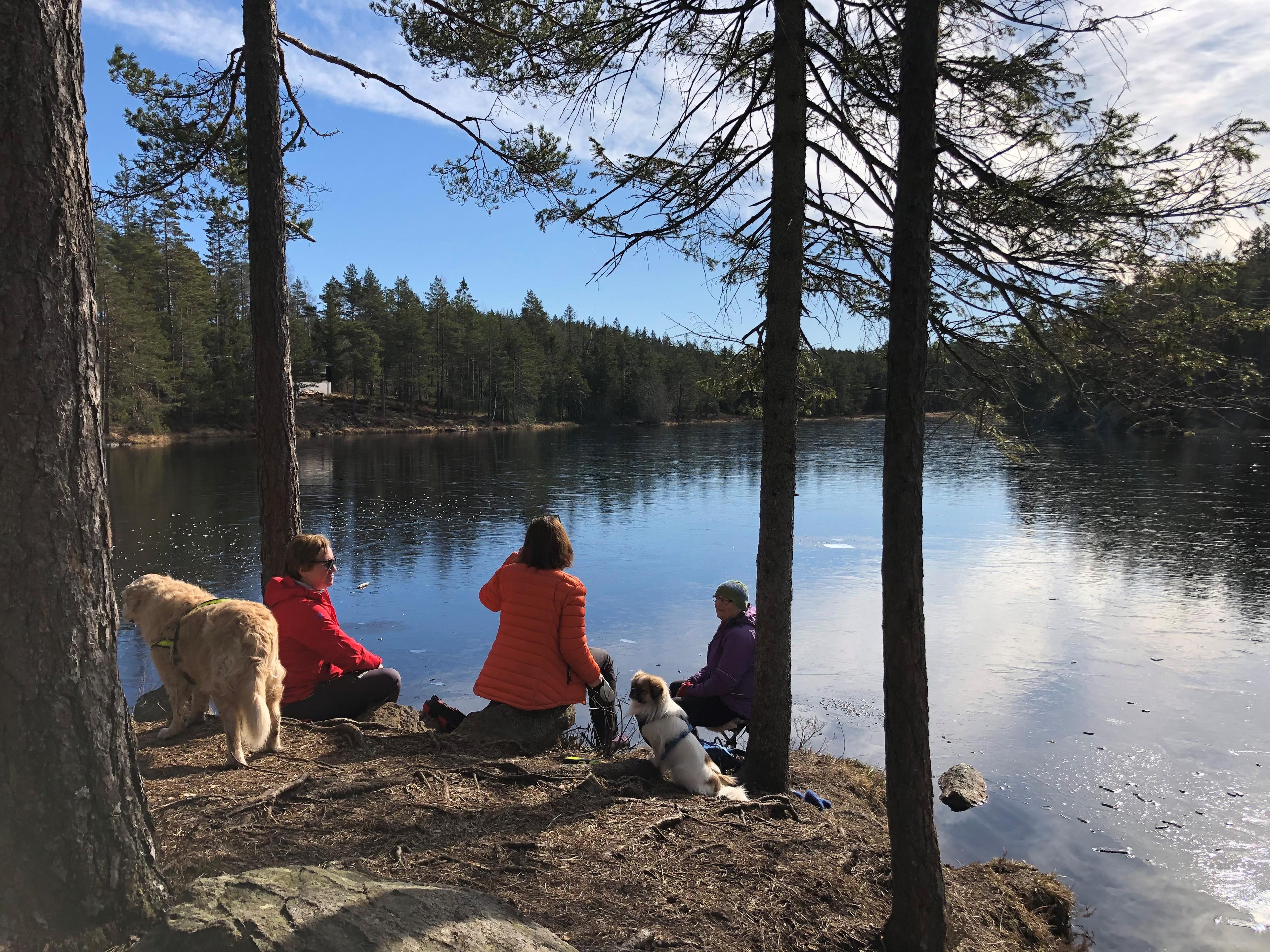 Folk som camper ved vannet