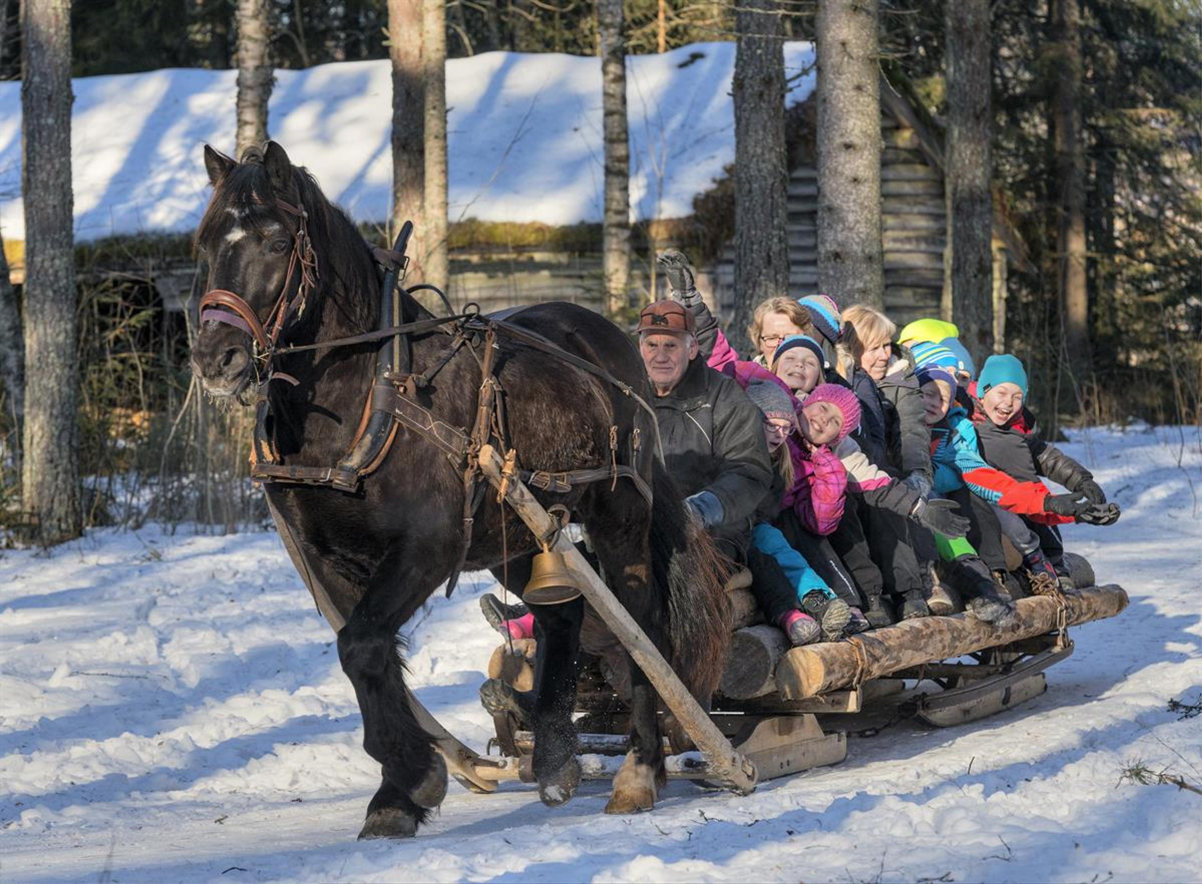 Horse and sleigh at Anno Norwegian Forest Museum
