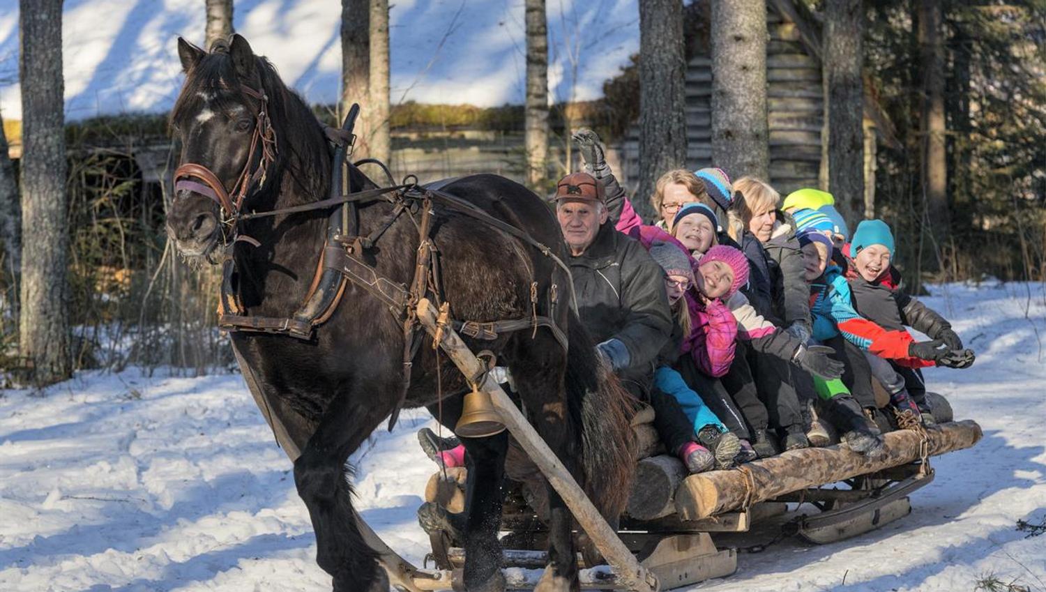Hest og slede på Anno Norsk skogmuseum