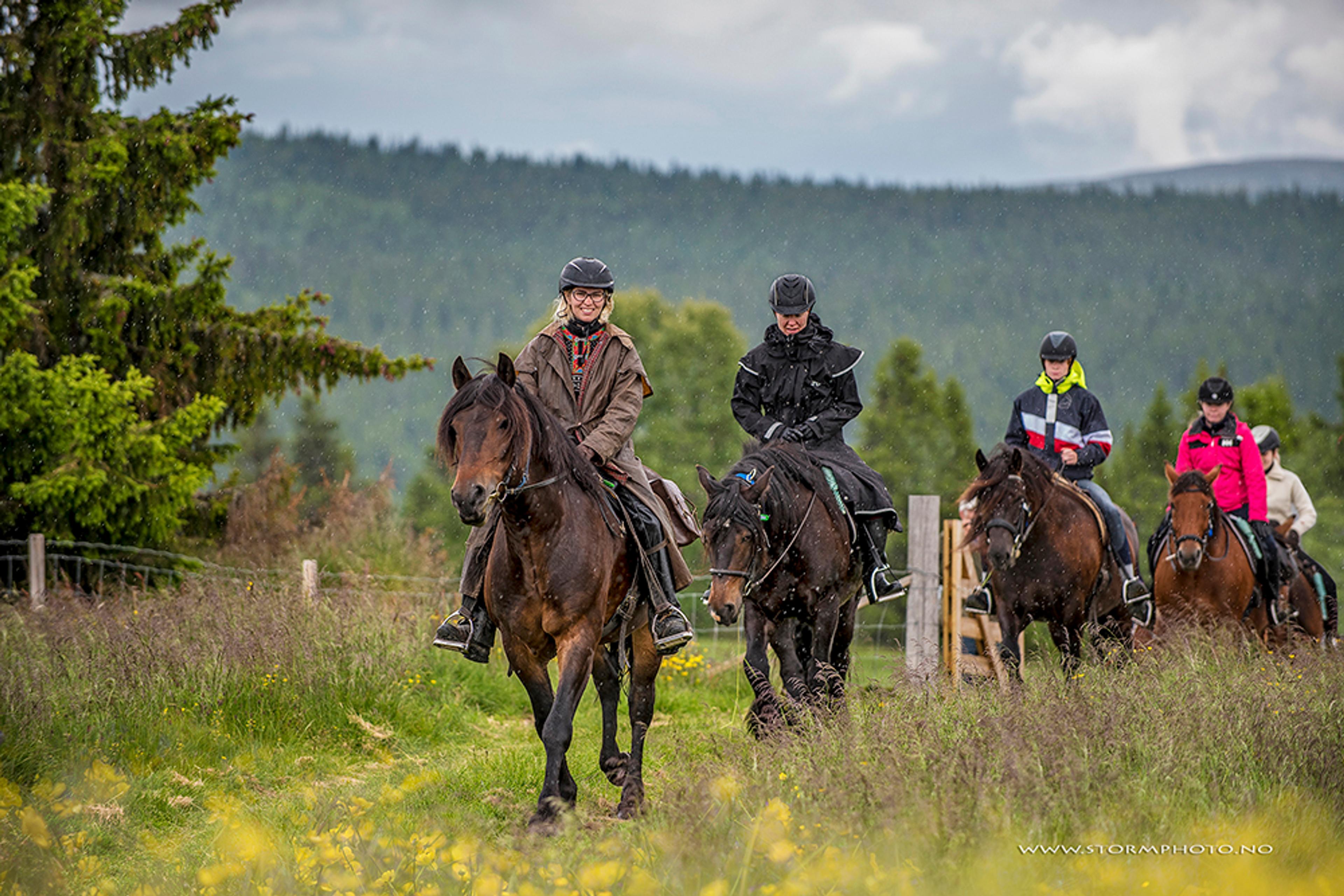 Gruppe koser seg på ridetur i naturen | Venabu Fjellhotell