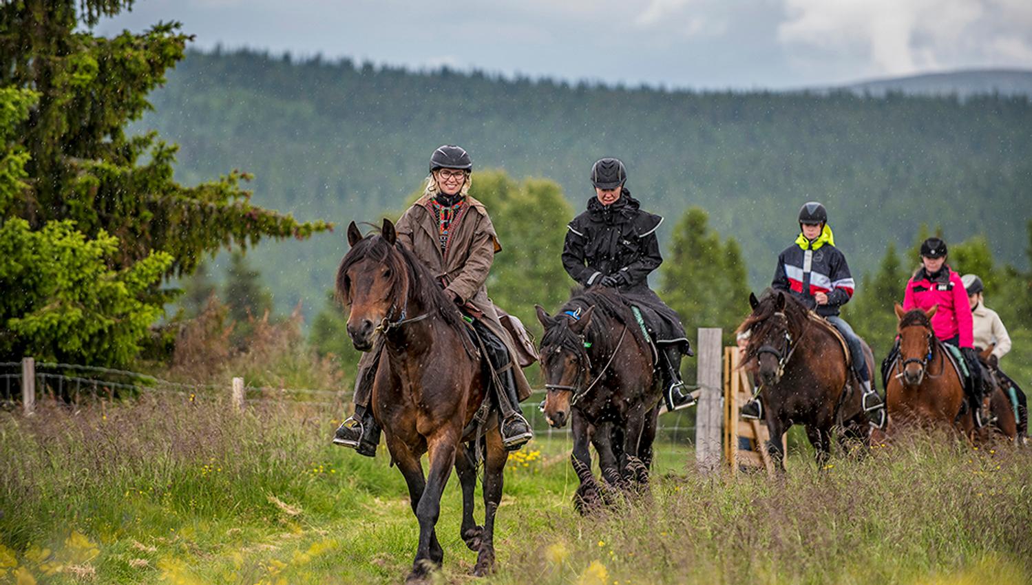 Group enjoying a horse ride in nature | Venabu Fjellhotell