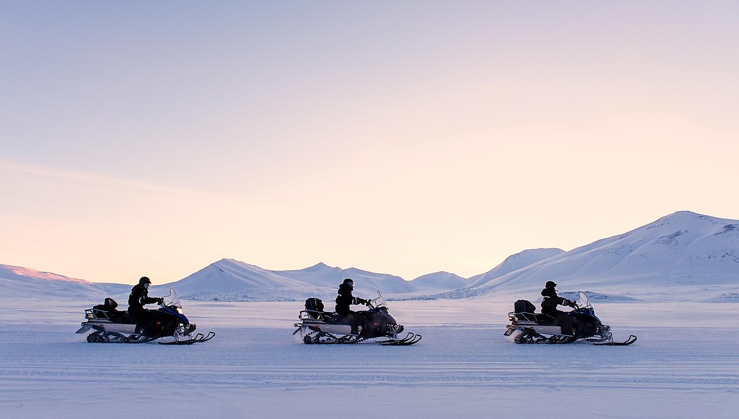 People driving snowmobiles